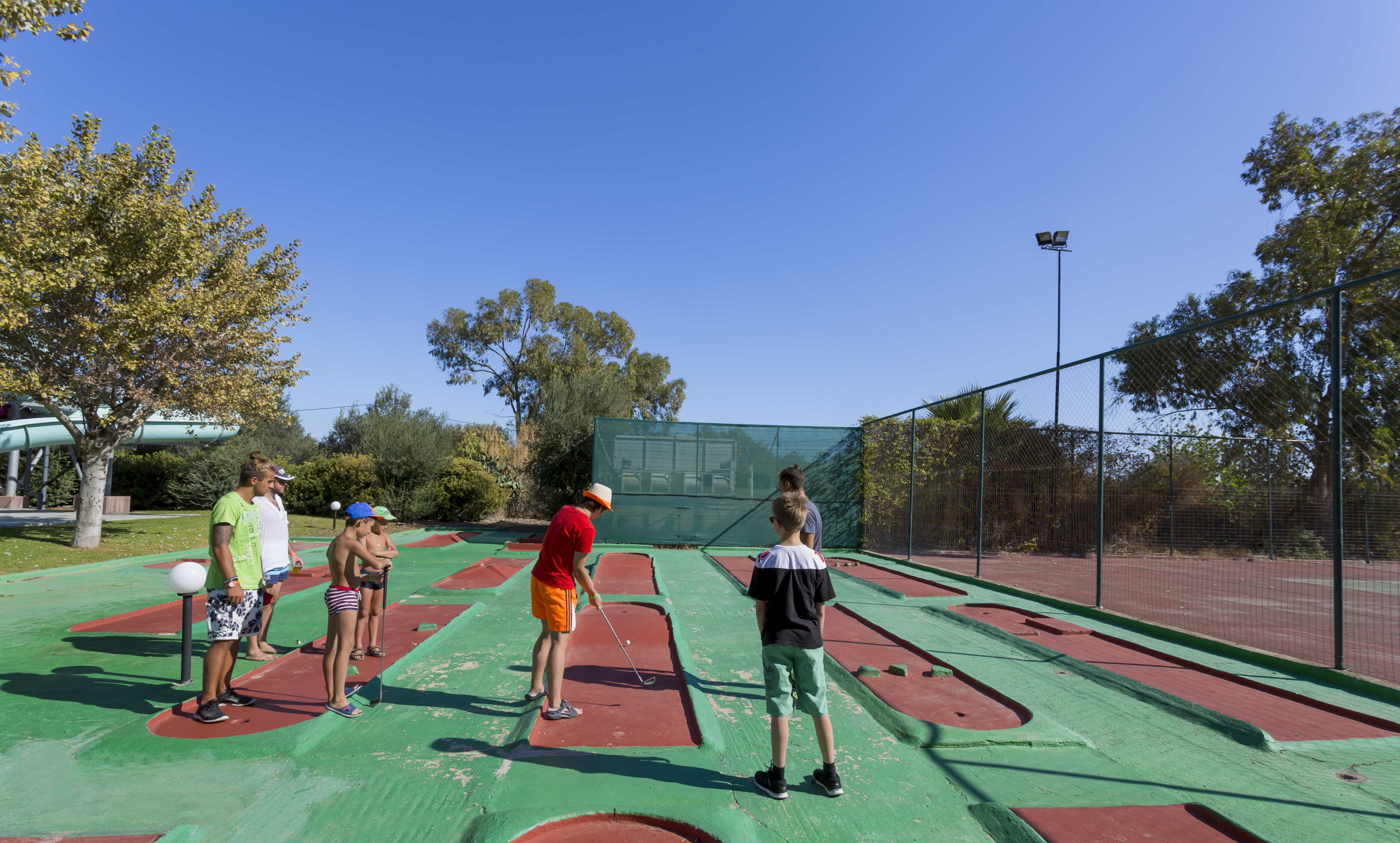 Sports and Entertainment