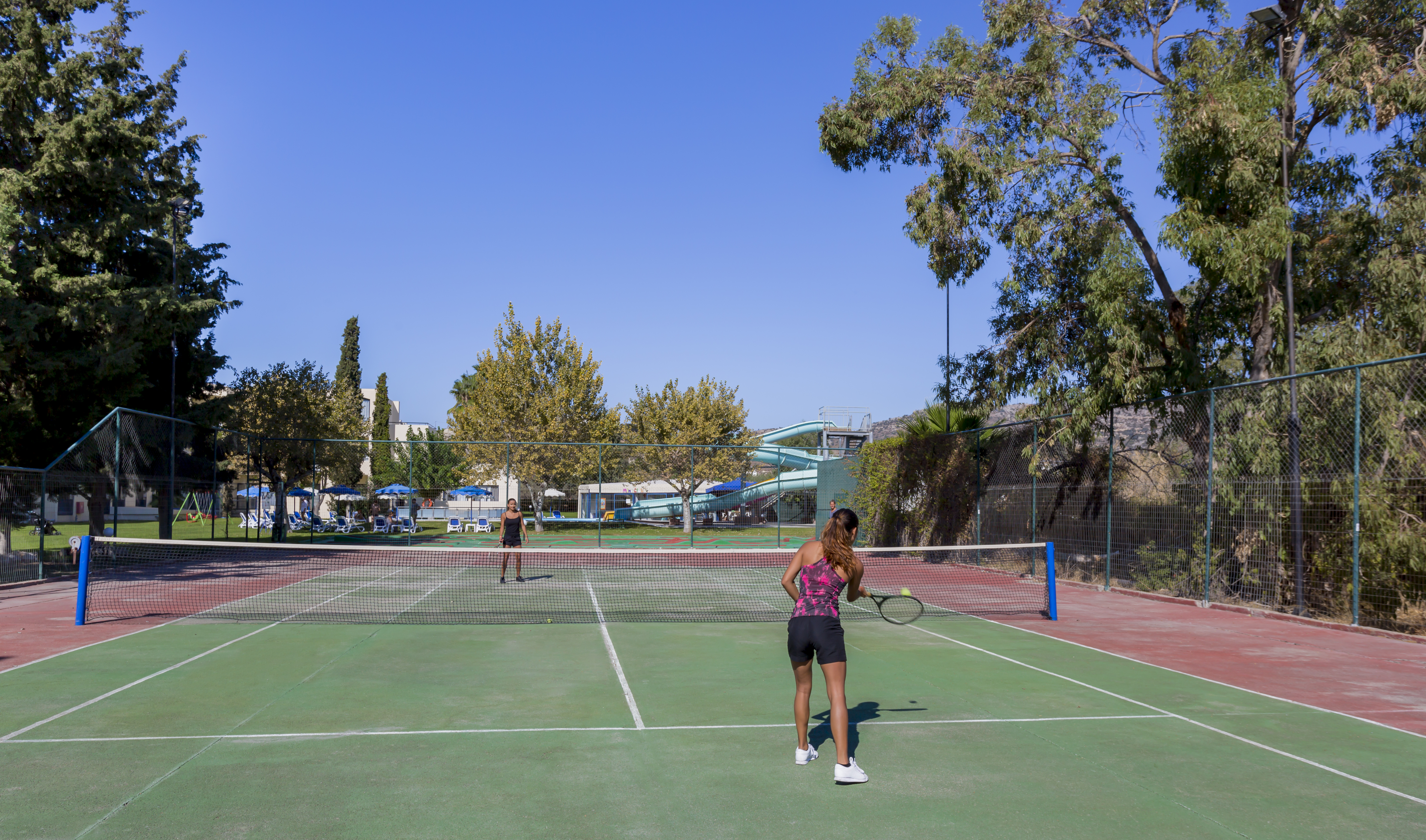 Sports and Entertainment