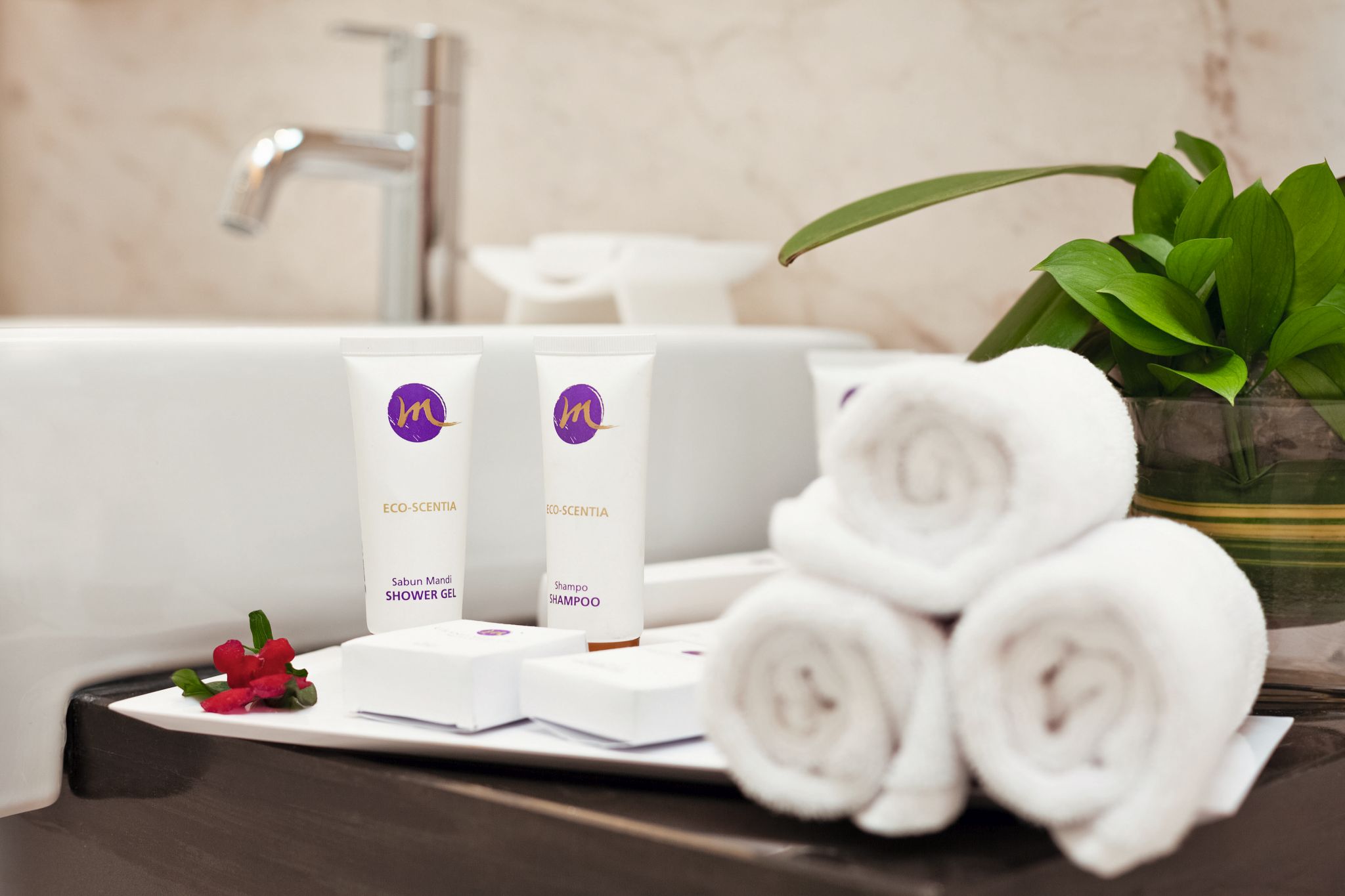 Double or Twin Superior