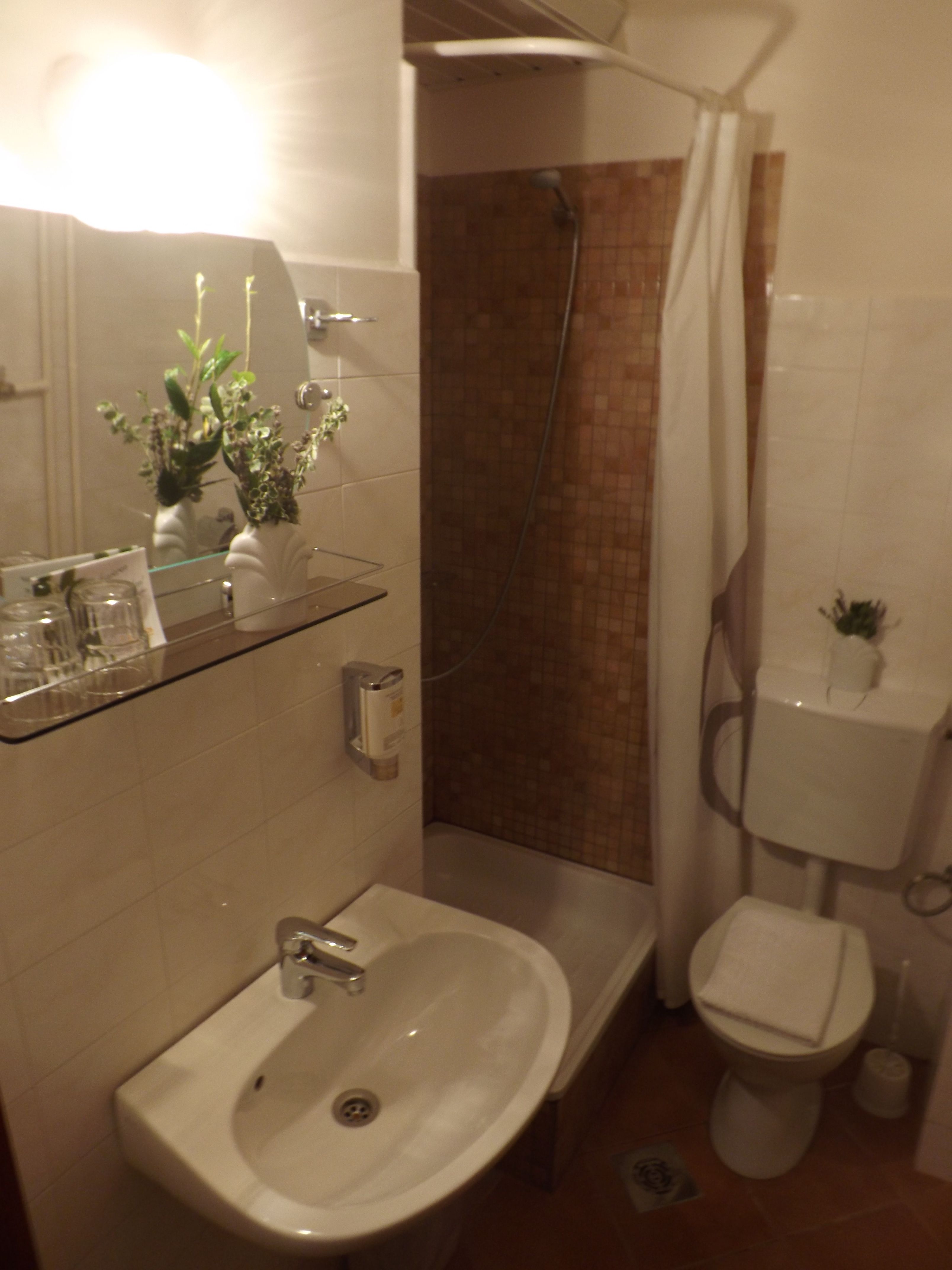 Double or Twin Standard