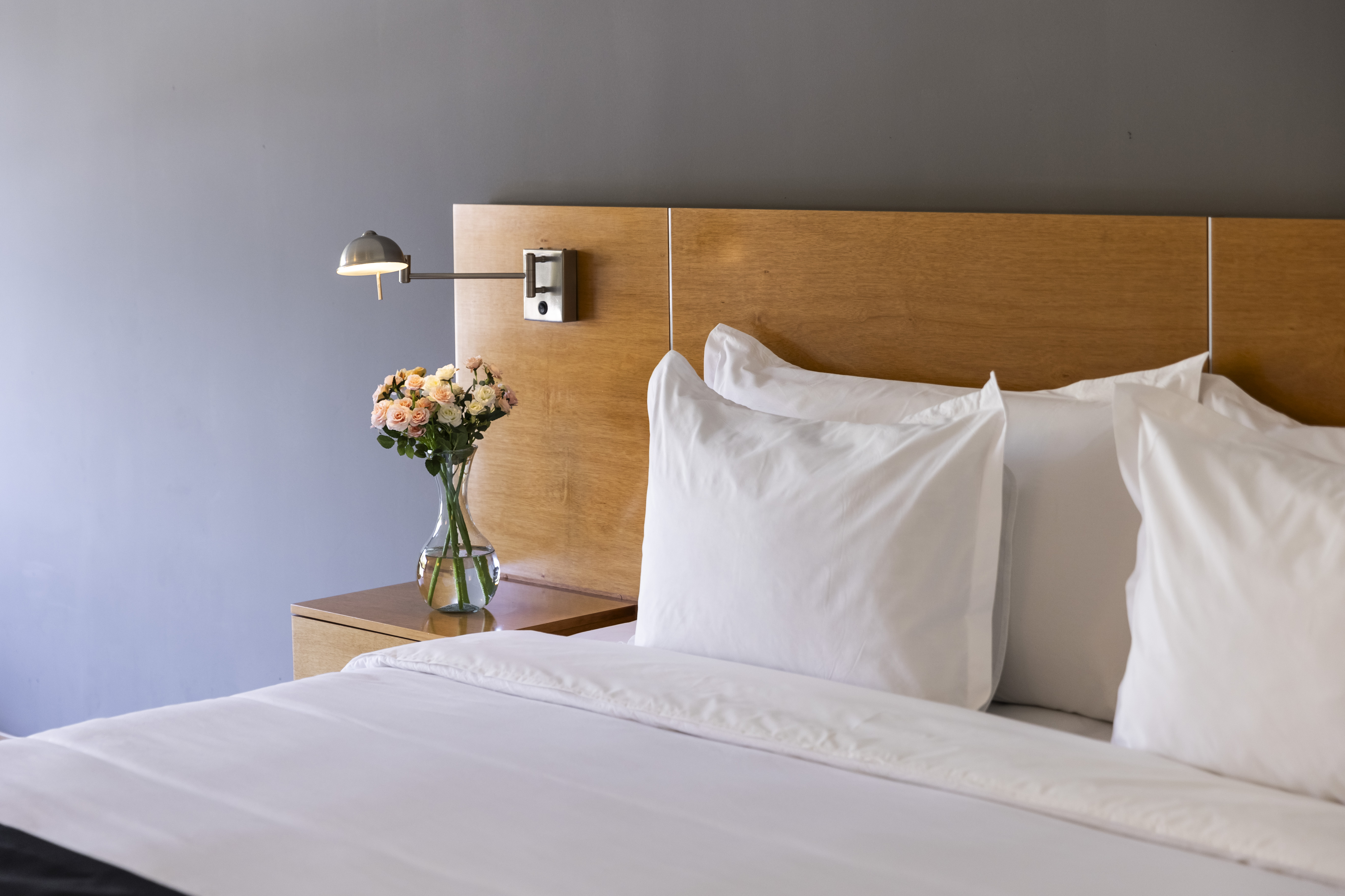 Suite Deluxe City View