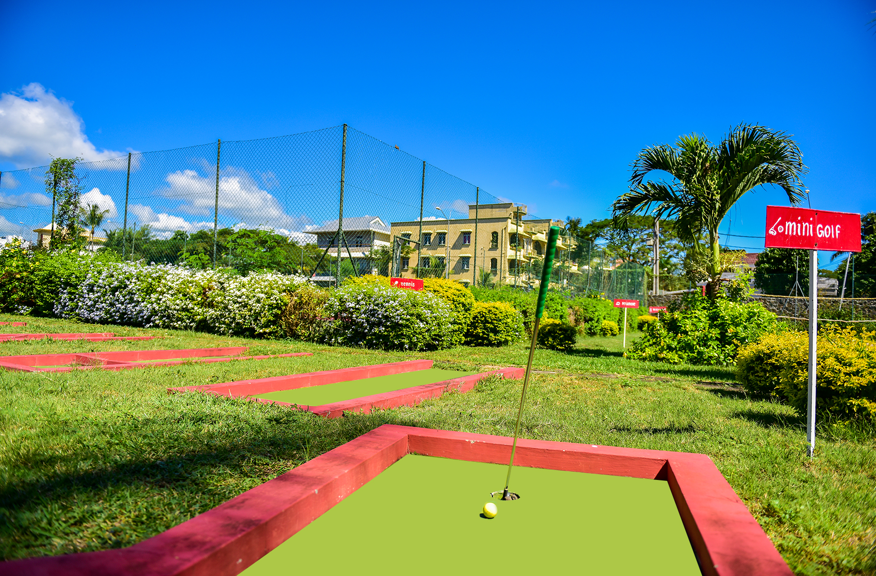 Sports and Entertainment