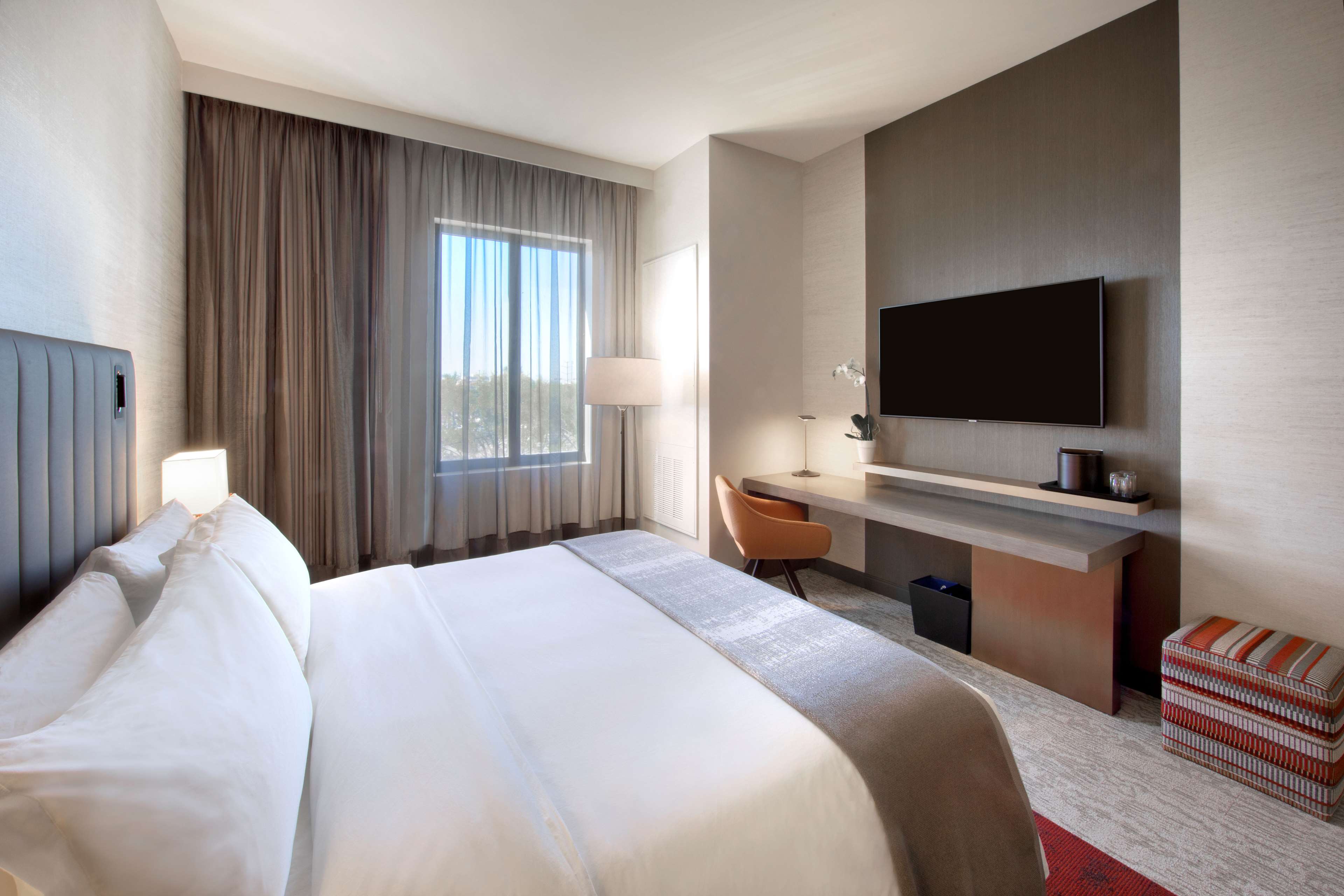 Junior Suite City View King Bed