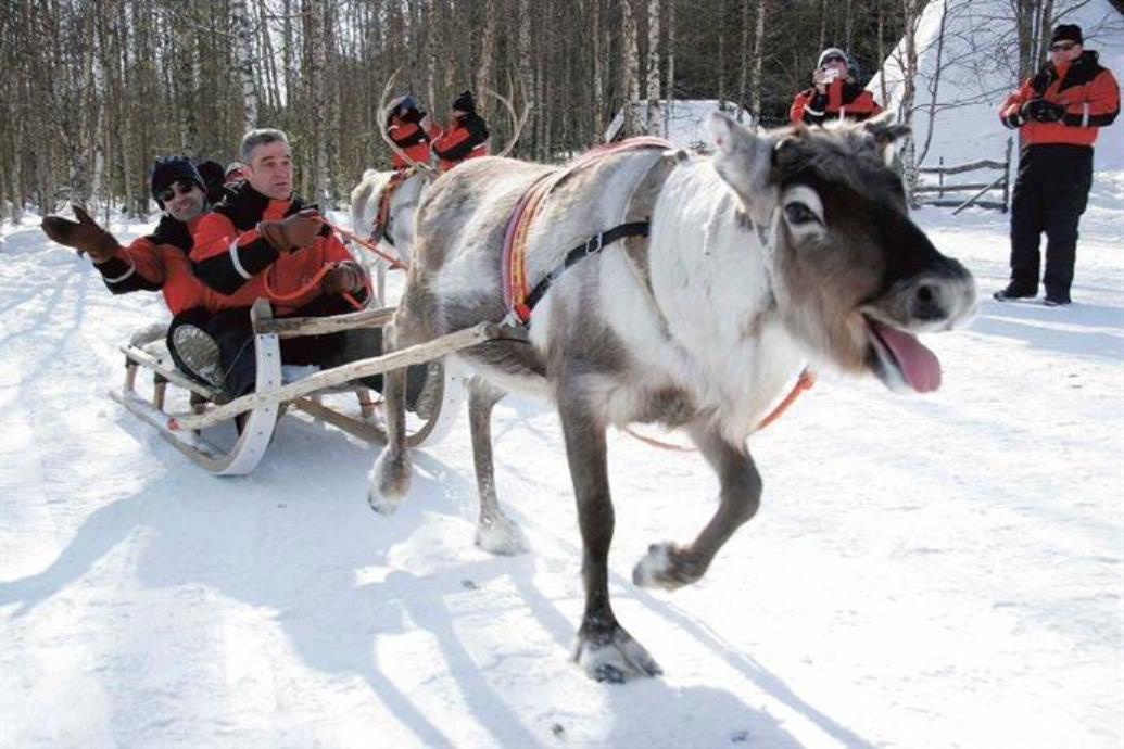 Sports and Entertainment