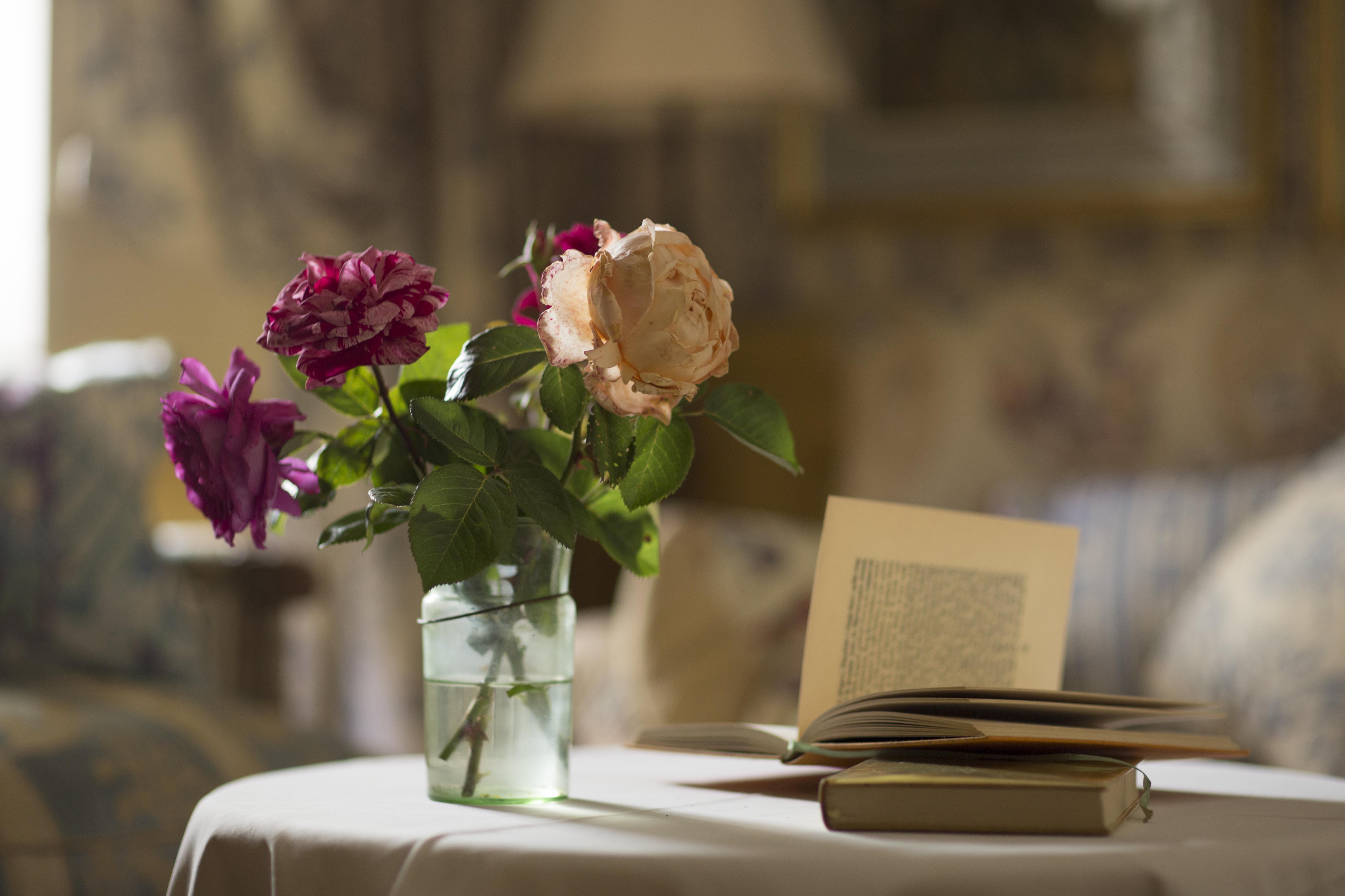 Double Deluxe Queen Bed