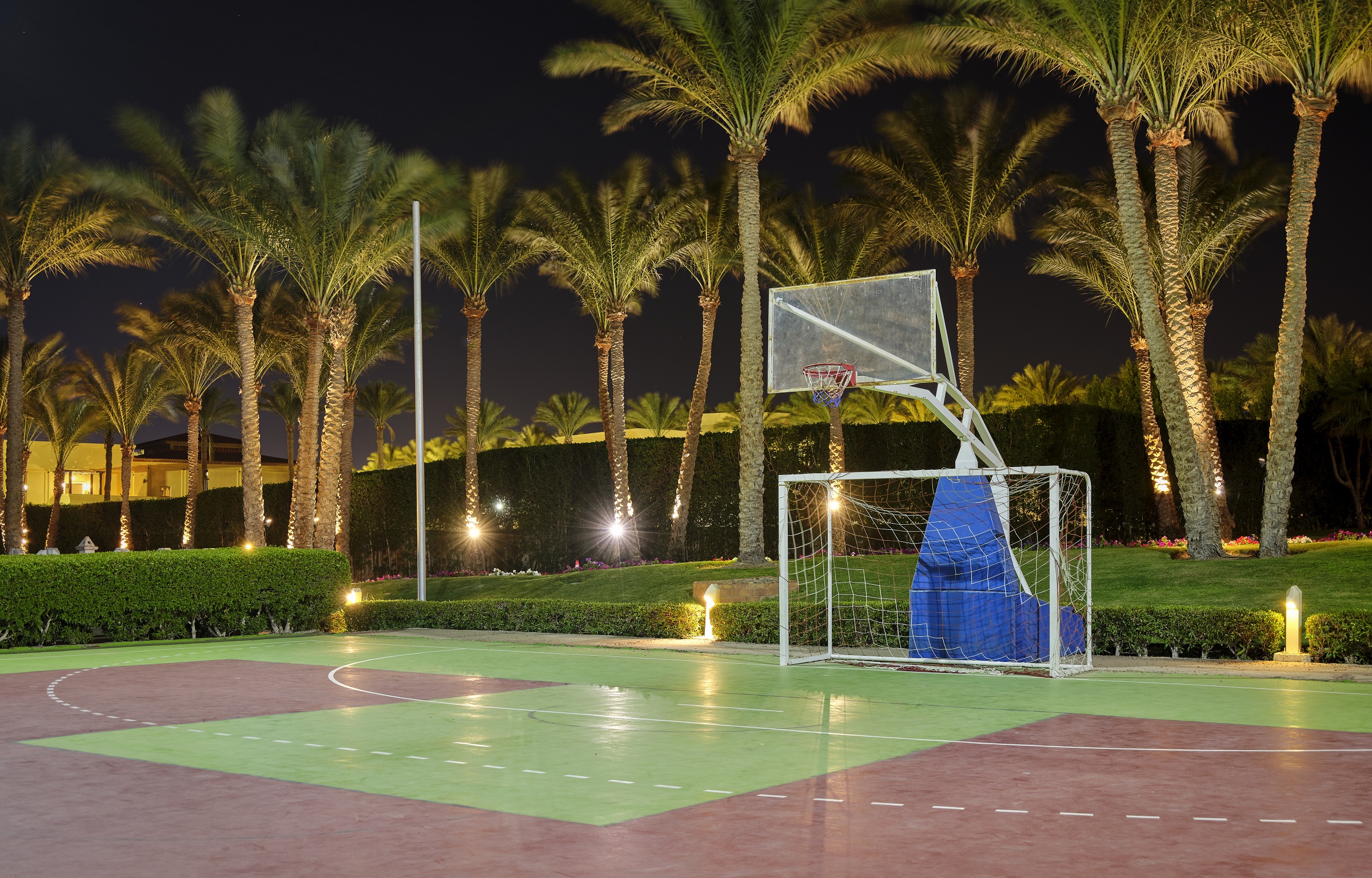 Sports and Entertainment