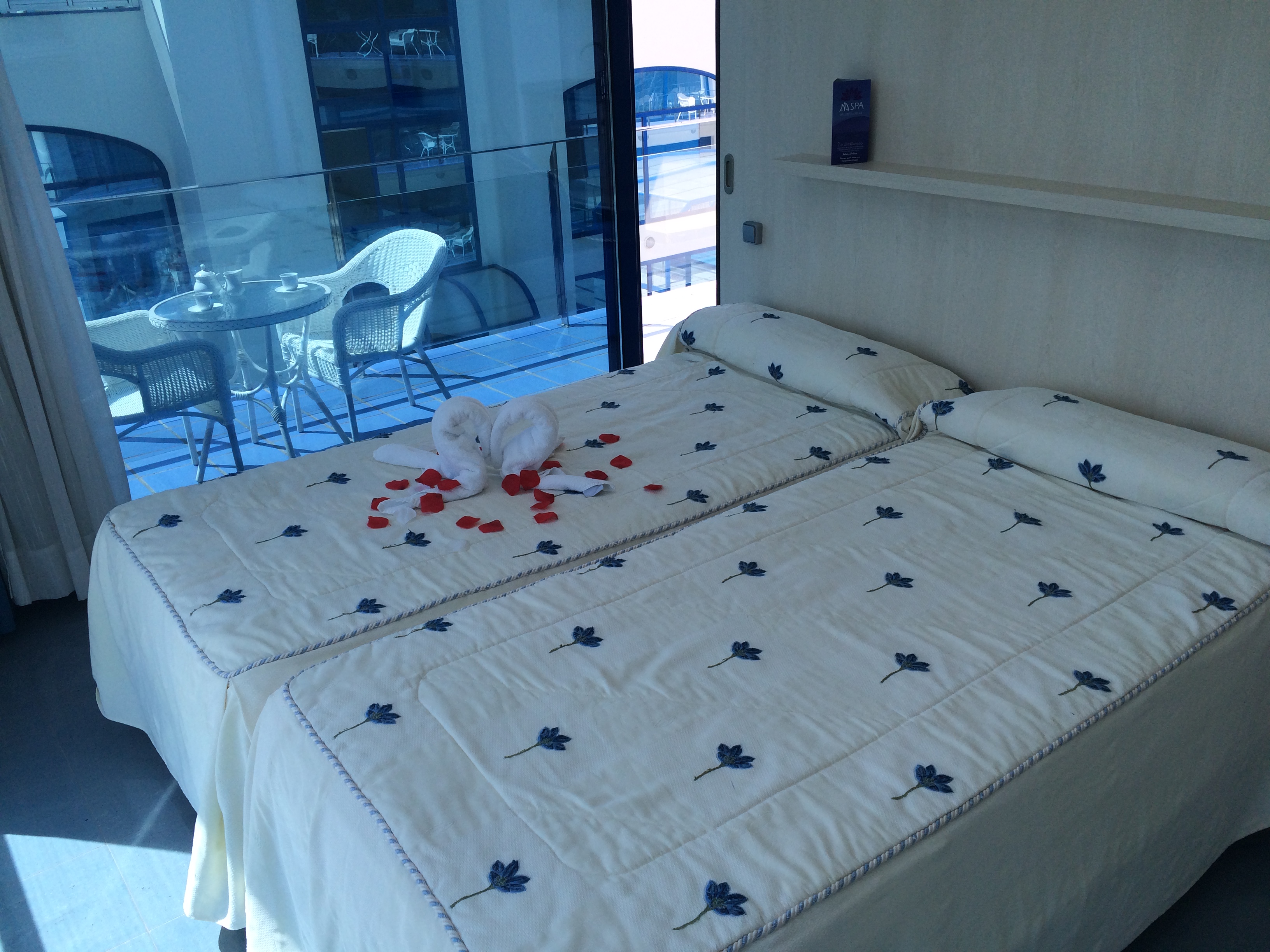 Apartment Superior Capacity 4