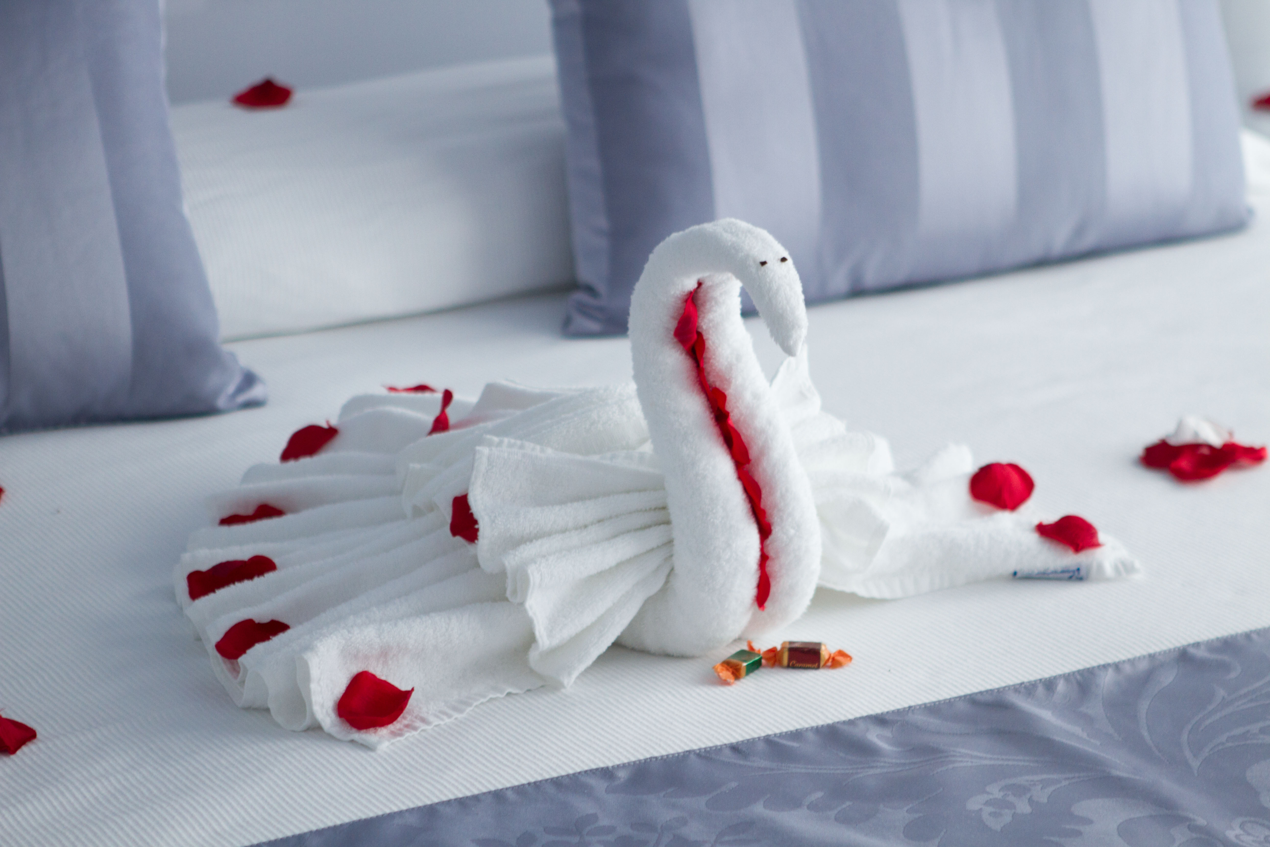 Studio Superior Sea Front