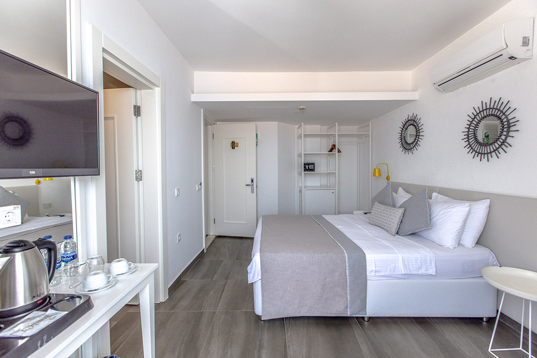 Double or Twin Standard