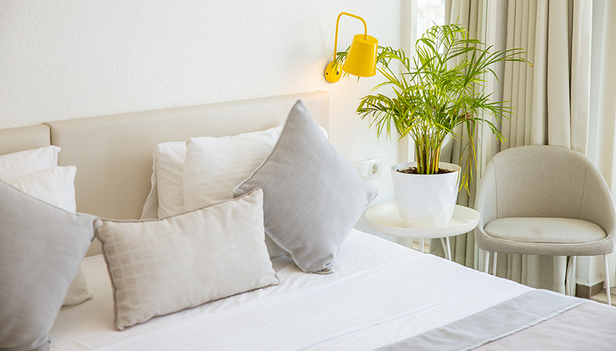 Double or Twin Standard