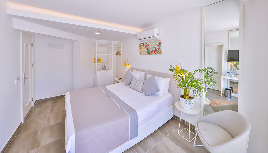 Double or Twin Standard