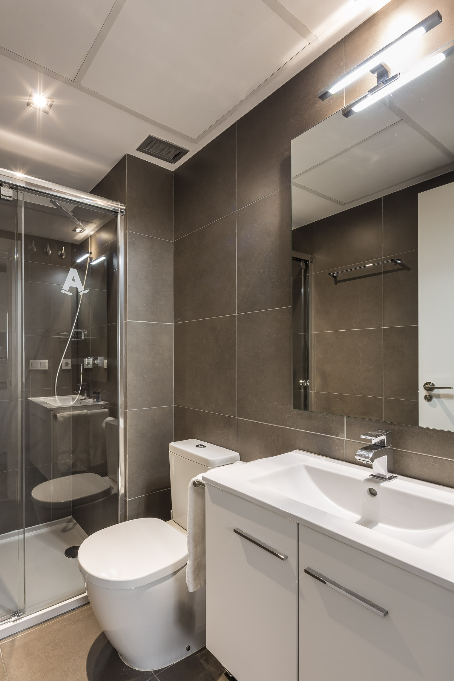 Apartment One Bedroom with Terrace