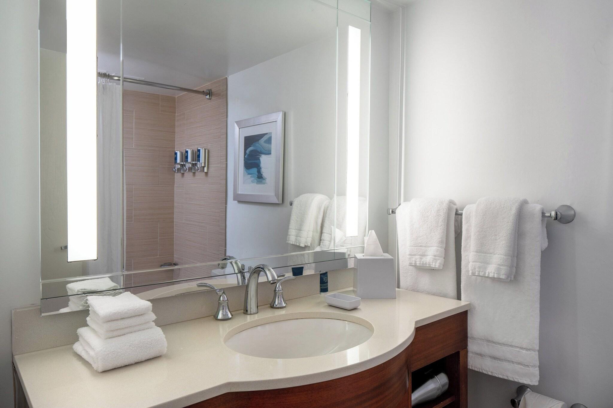 Suite Accessible King Size Bed