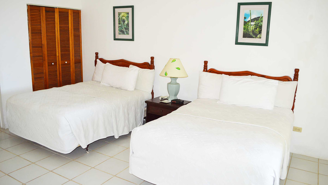 Double Deluxe Two Double Beds