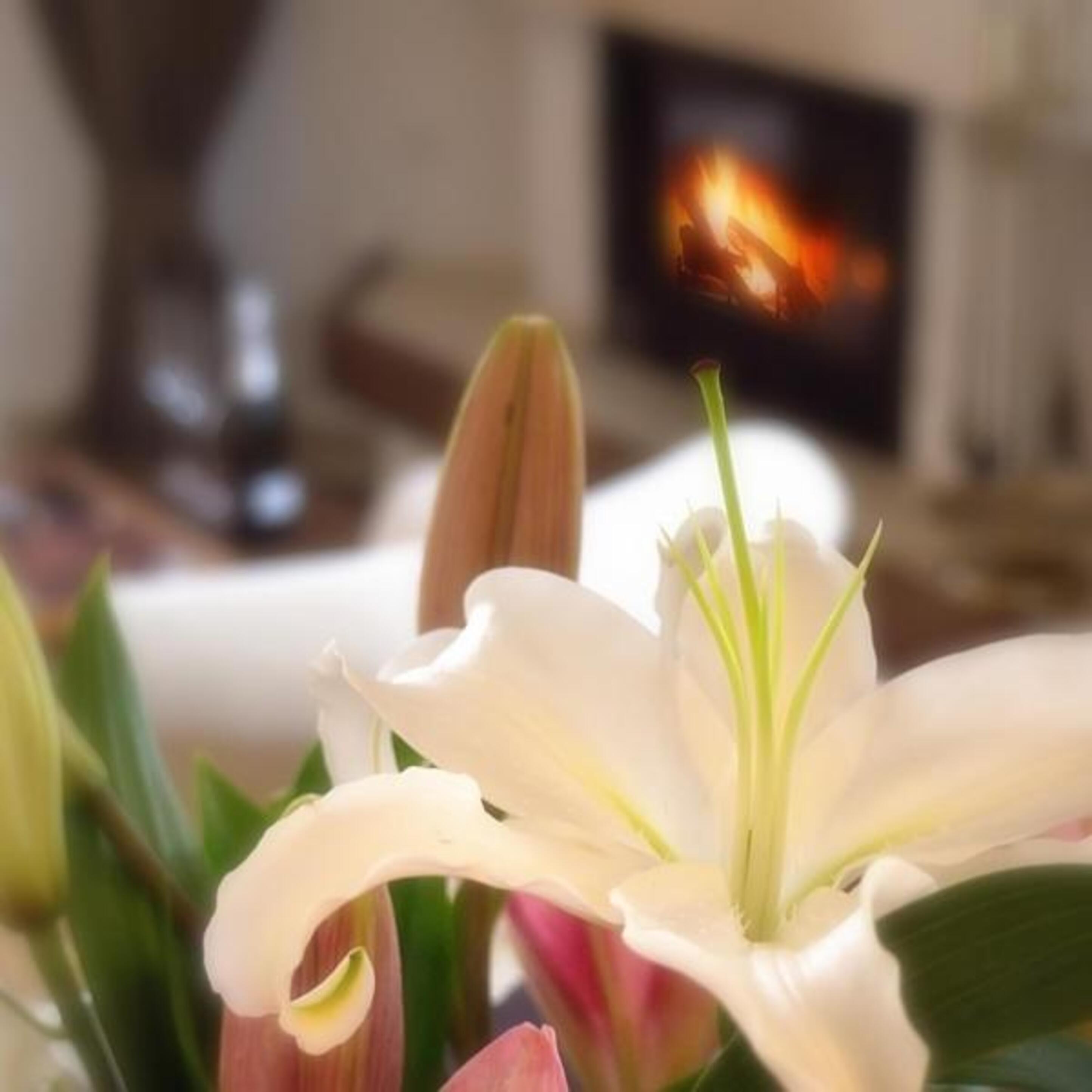 Suite Deluxe Mountain View