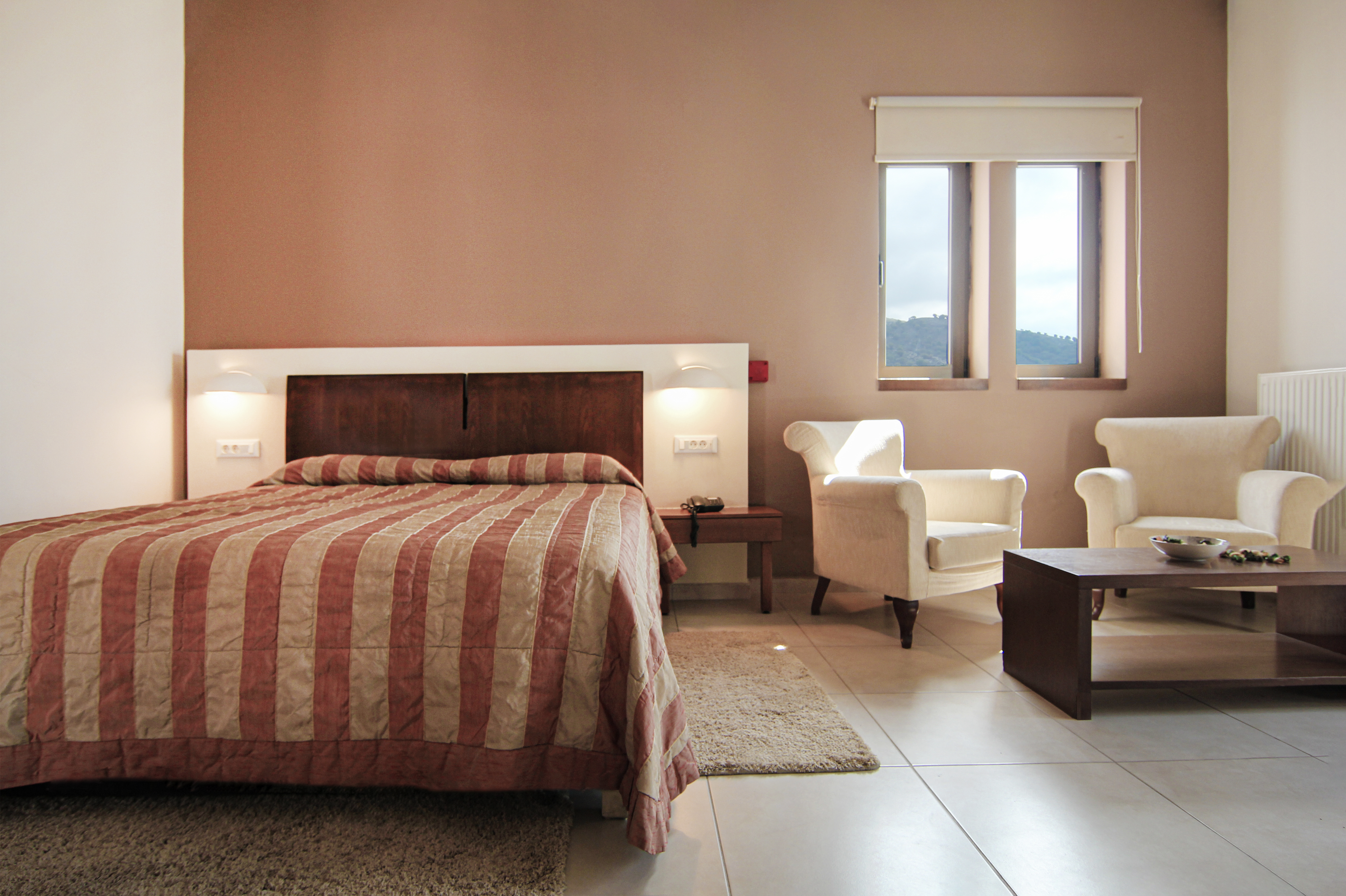 Junior Suite Mountain View