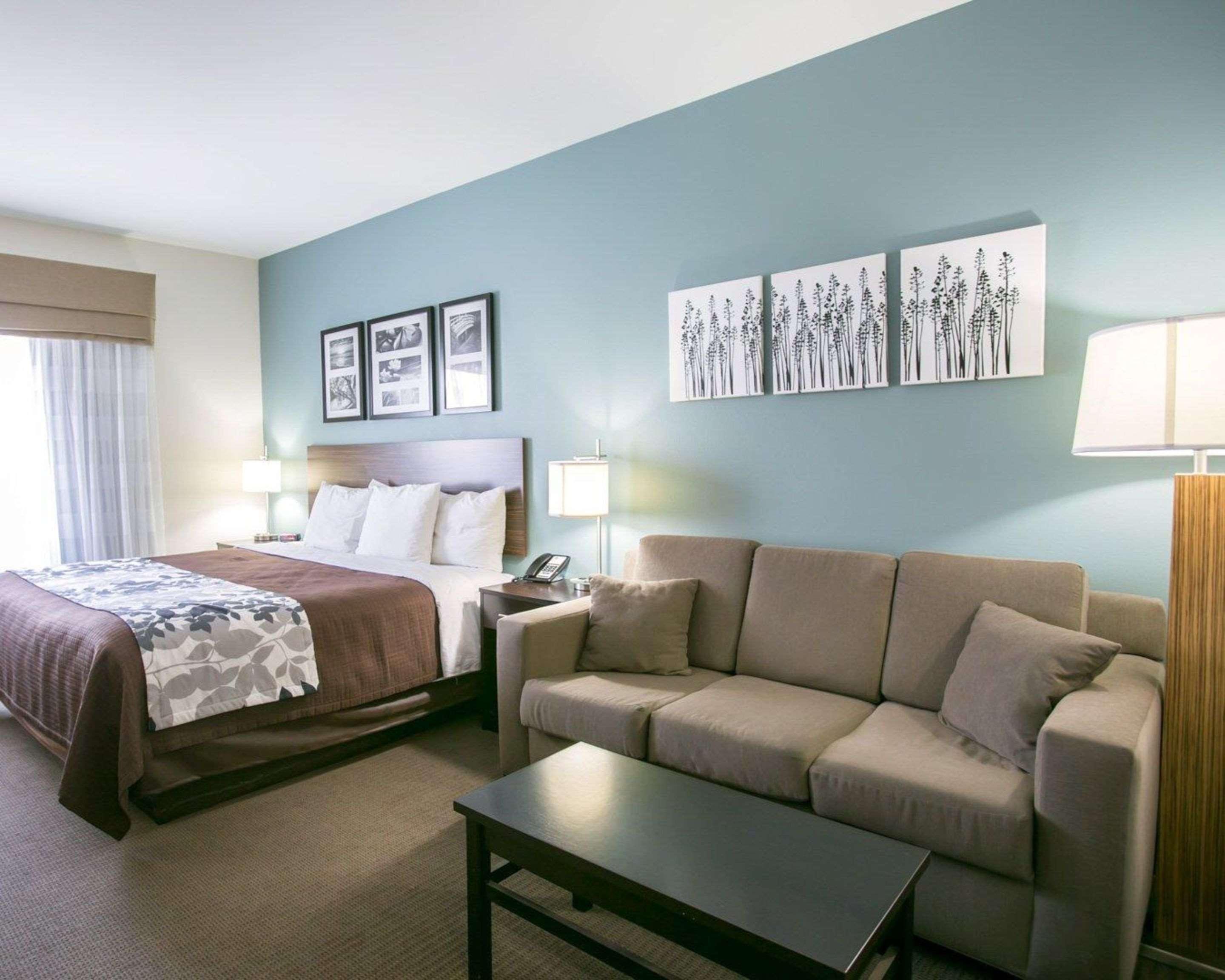 Suite Accessible King Size Bed