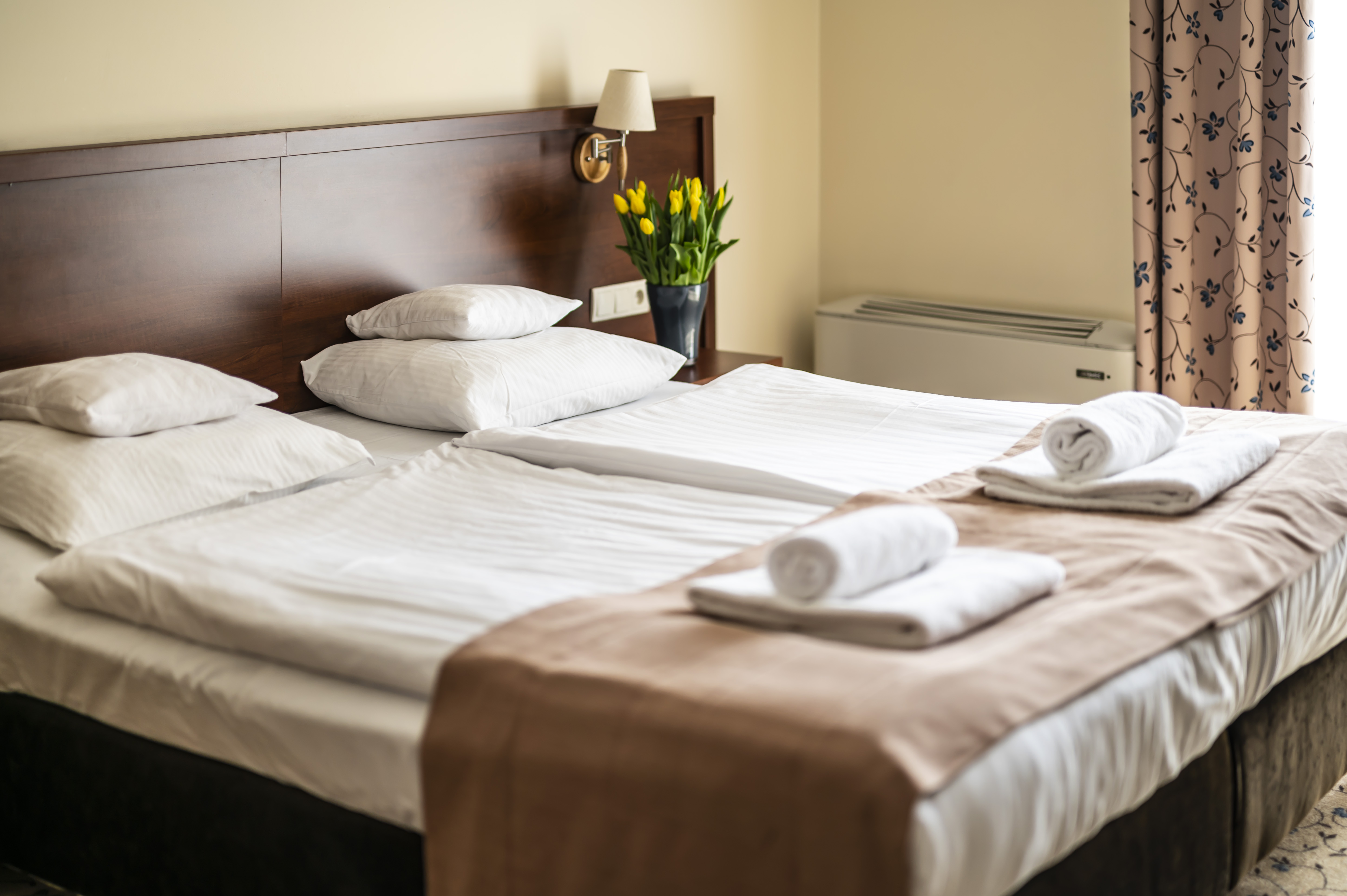 Double or Twin Standard