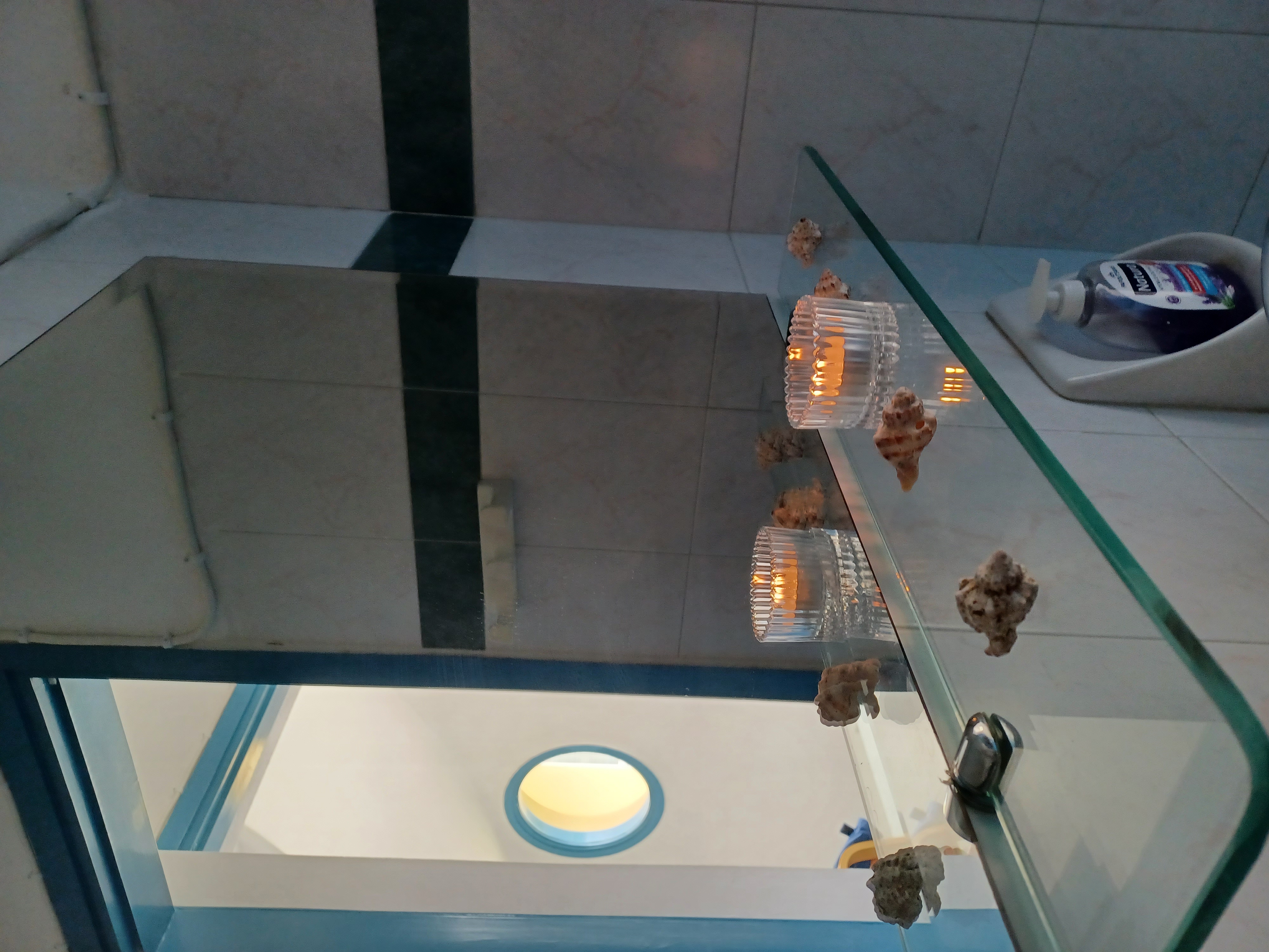 Apartment Capacity 2