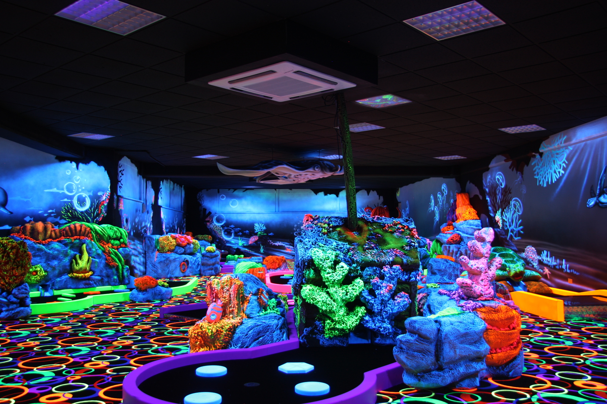 Sports and Entertainment