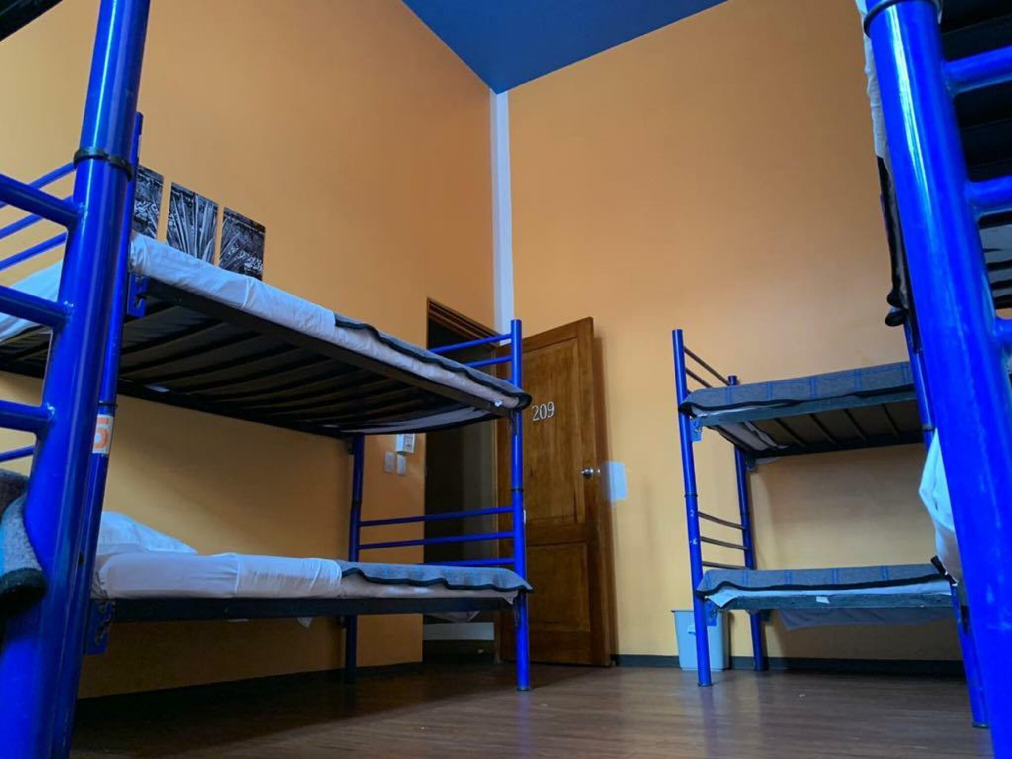 Bed in Dormitory Capacity 6