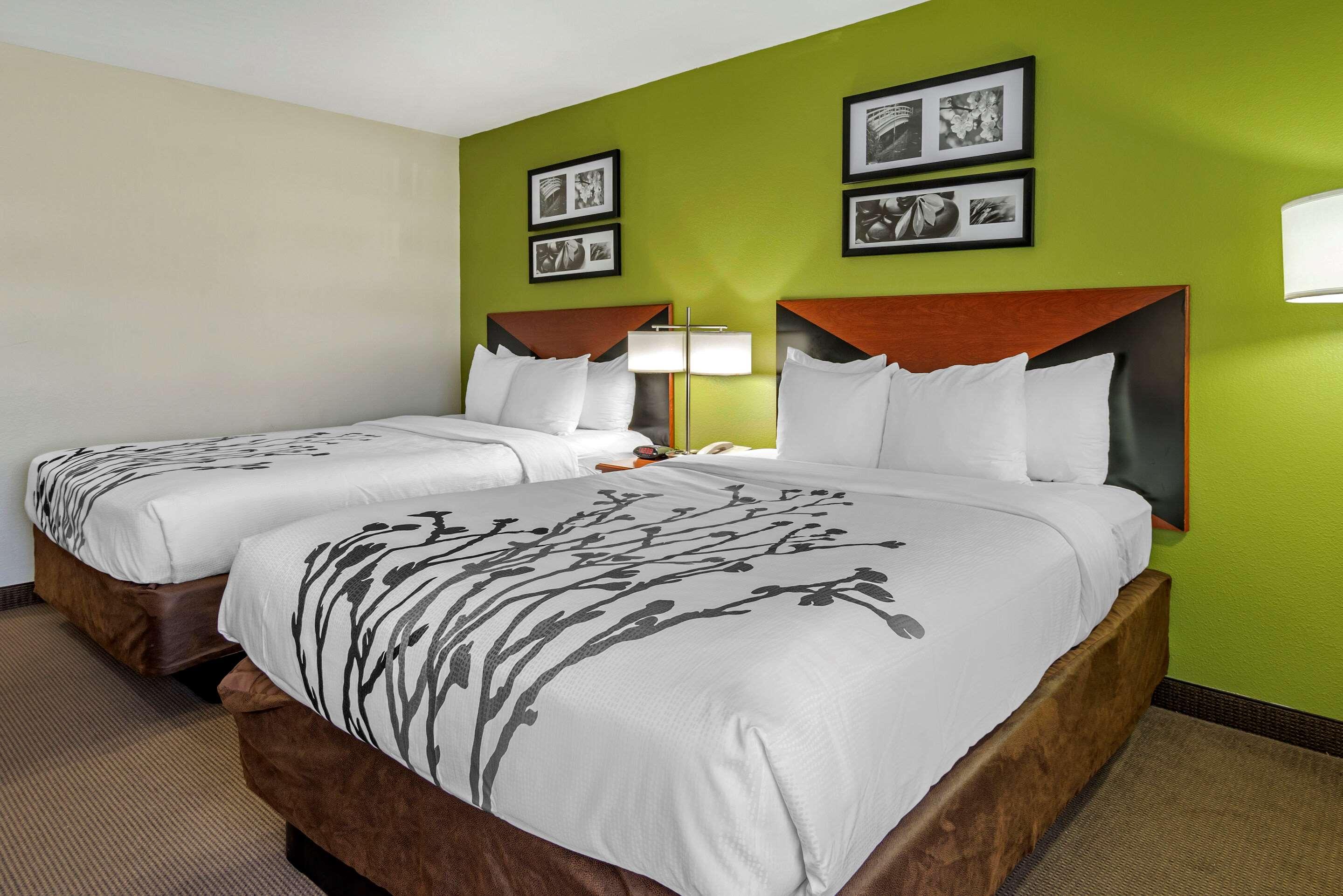 Double Two Queen Beds Non Smoking