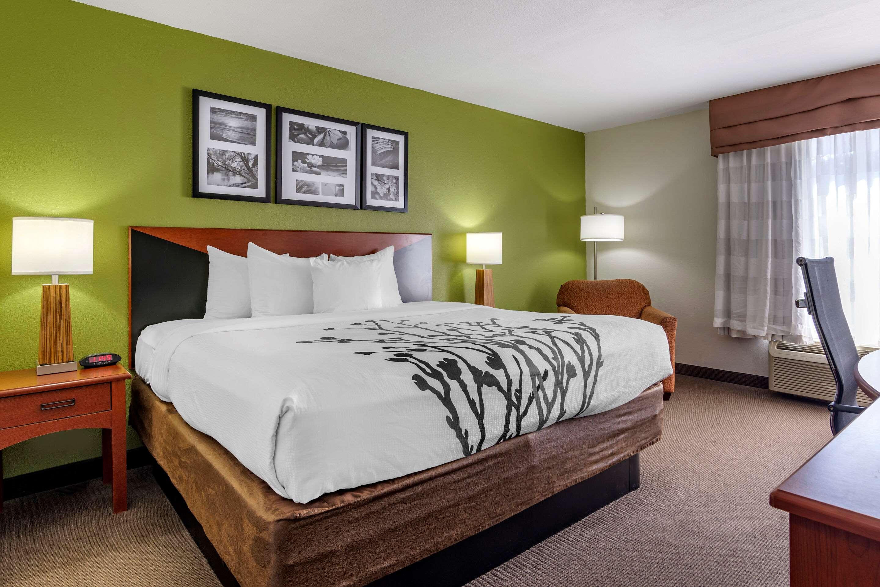 Double King Bed Non Smoking