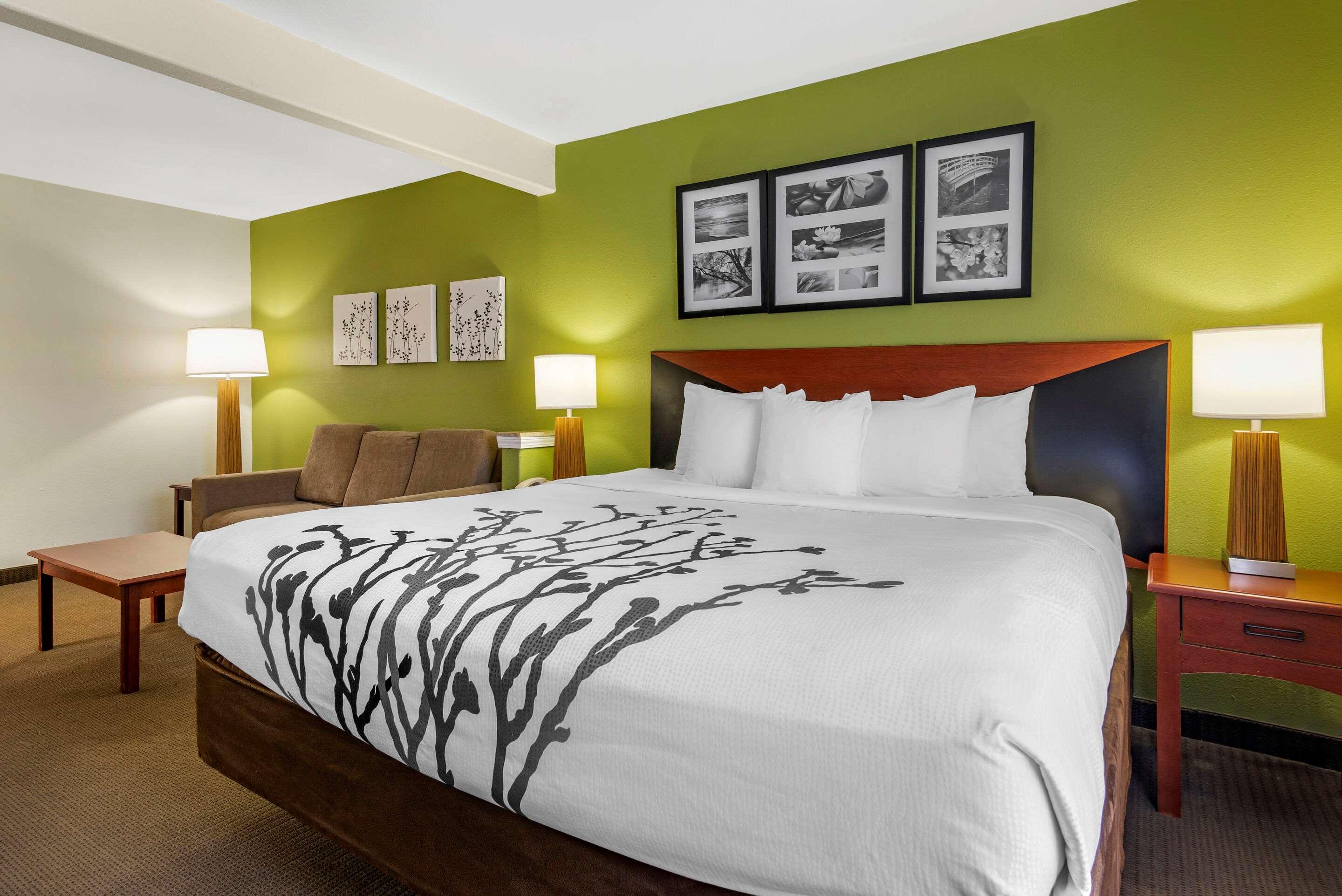 Suite King Bed Non Smoking