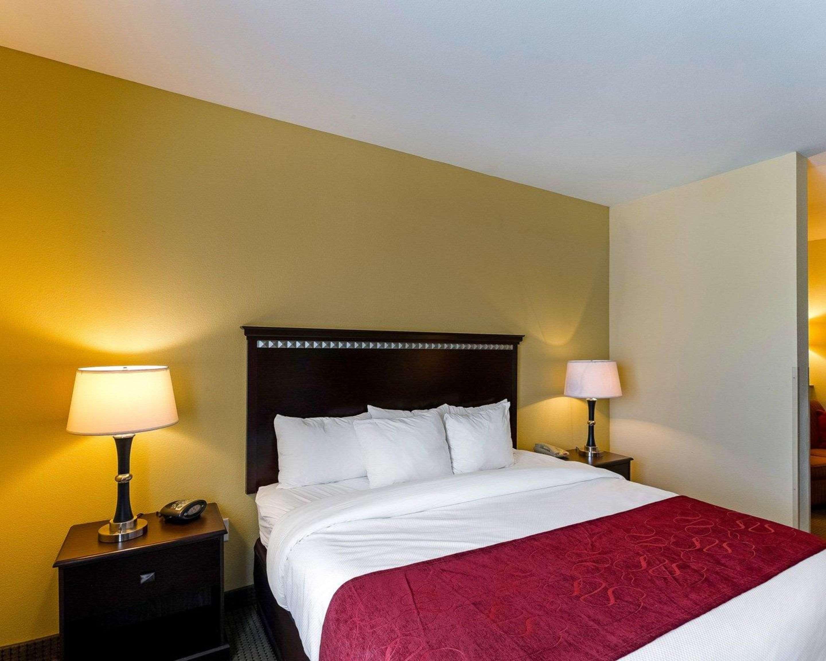 Suite King Bed Non Smoking