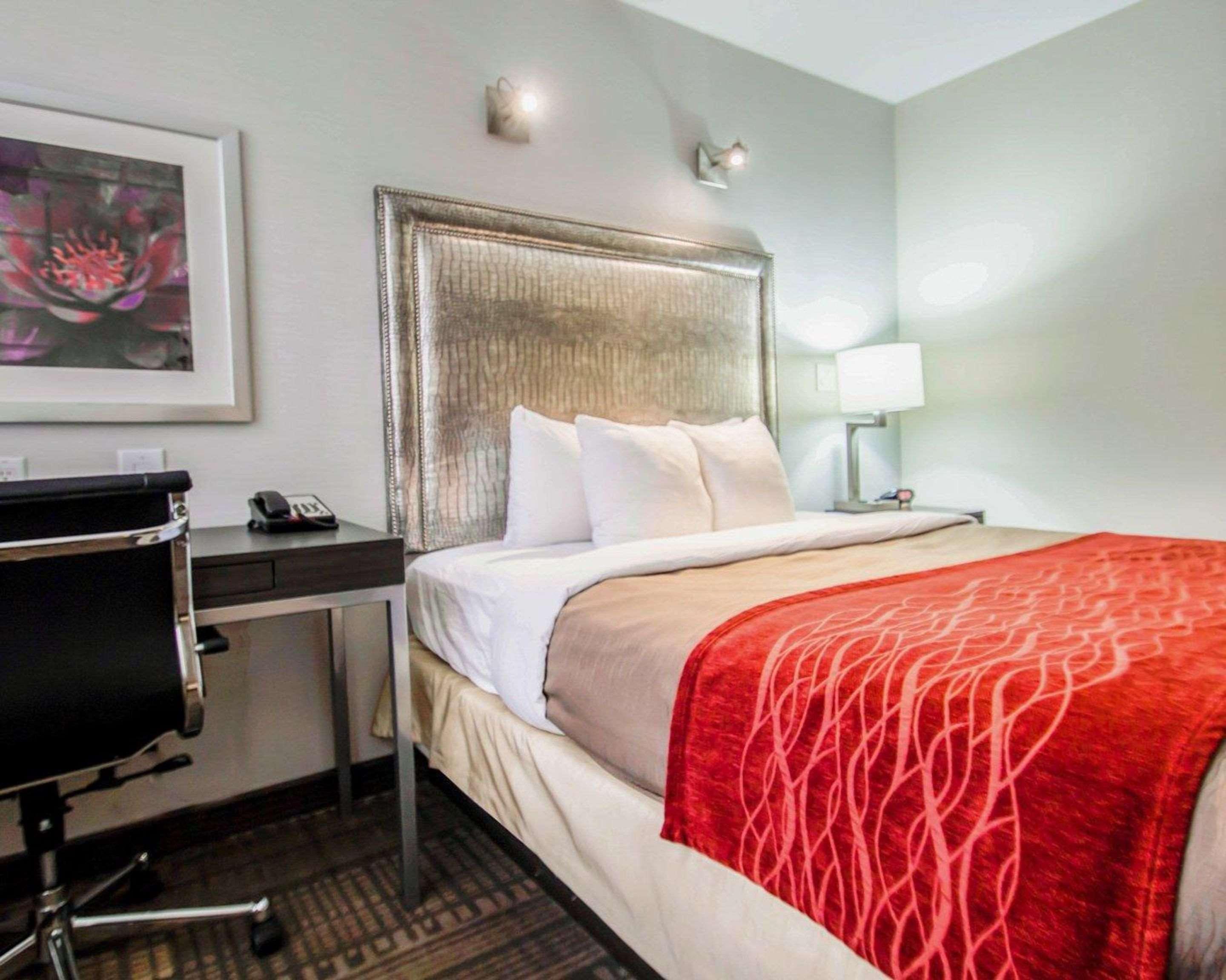 Double Queen Bed Non Smoking