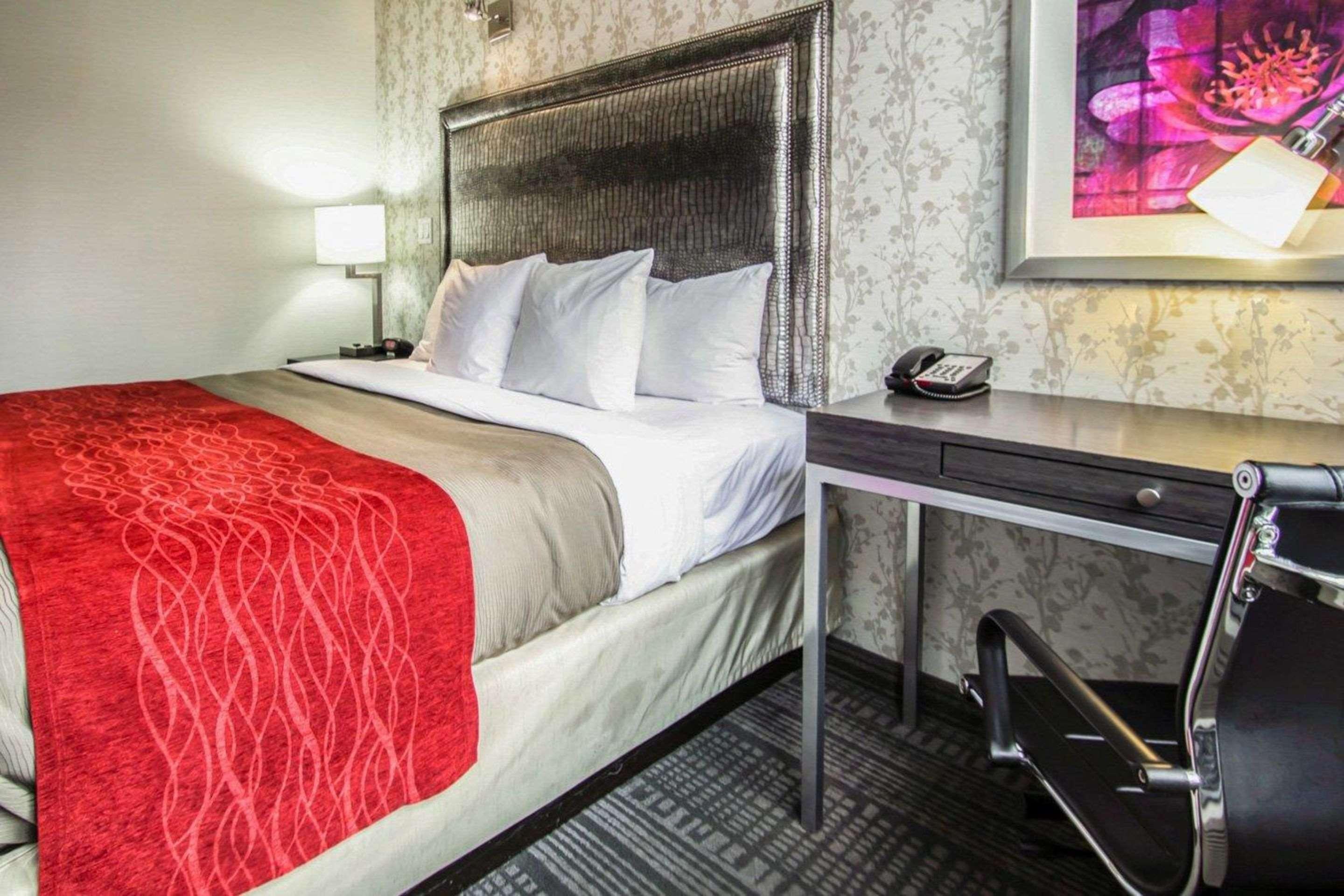 Double King Bed Non Smoking