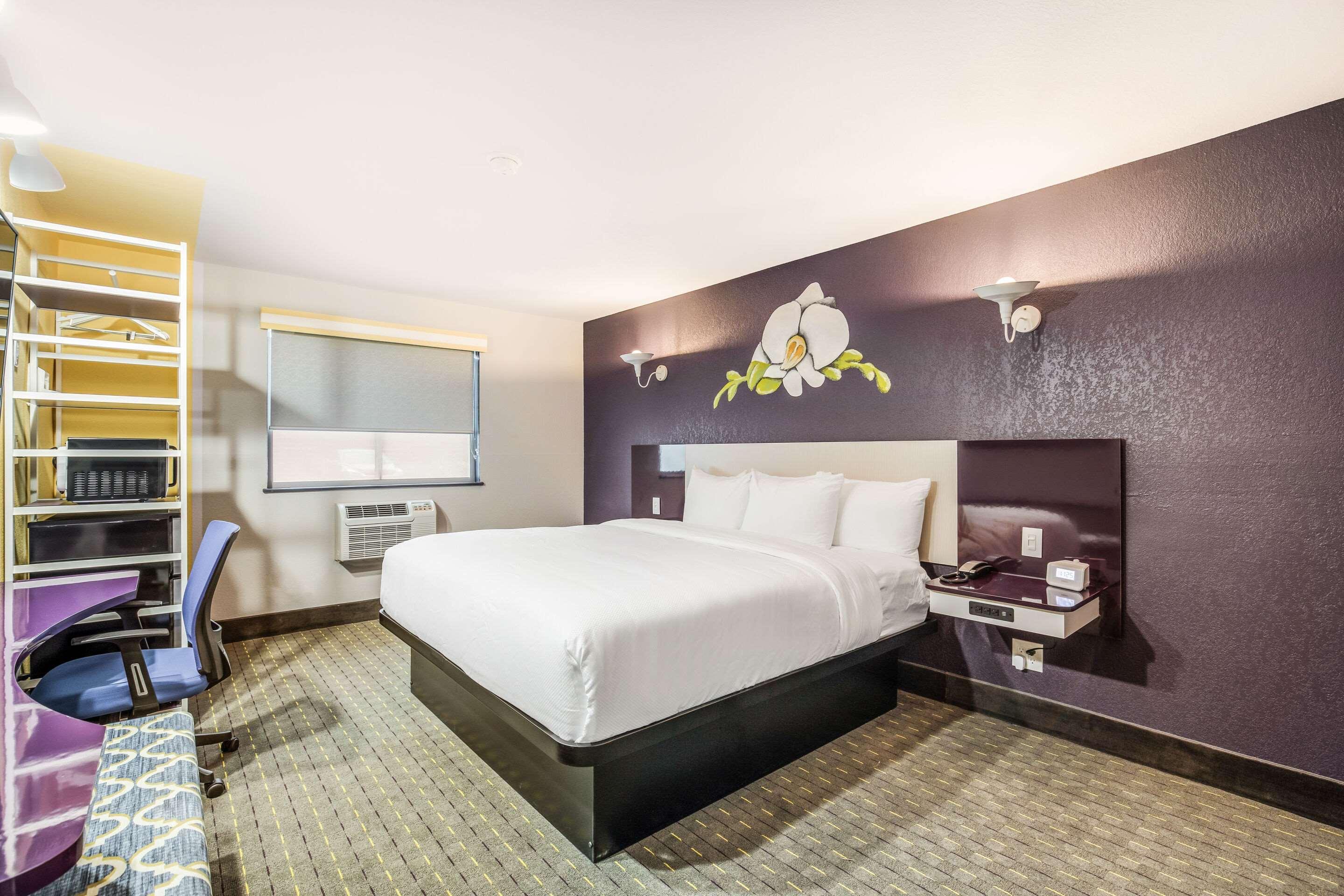 Double Accessible King Size Bed