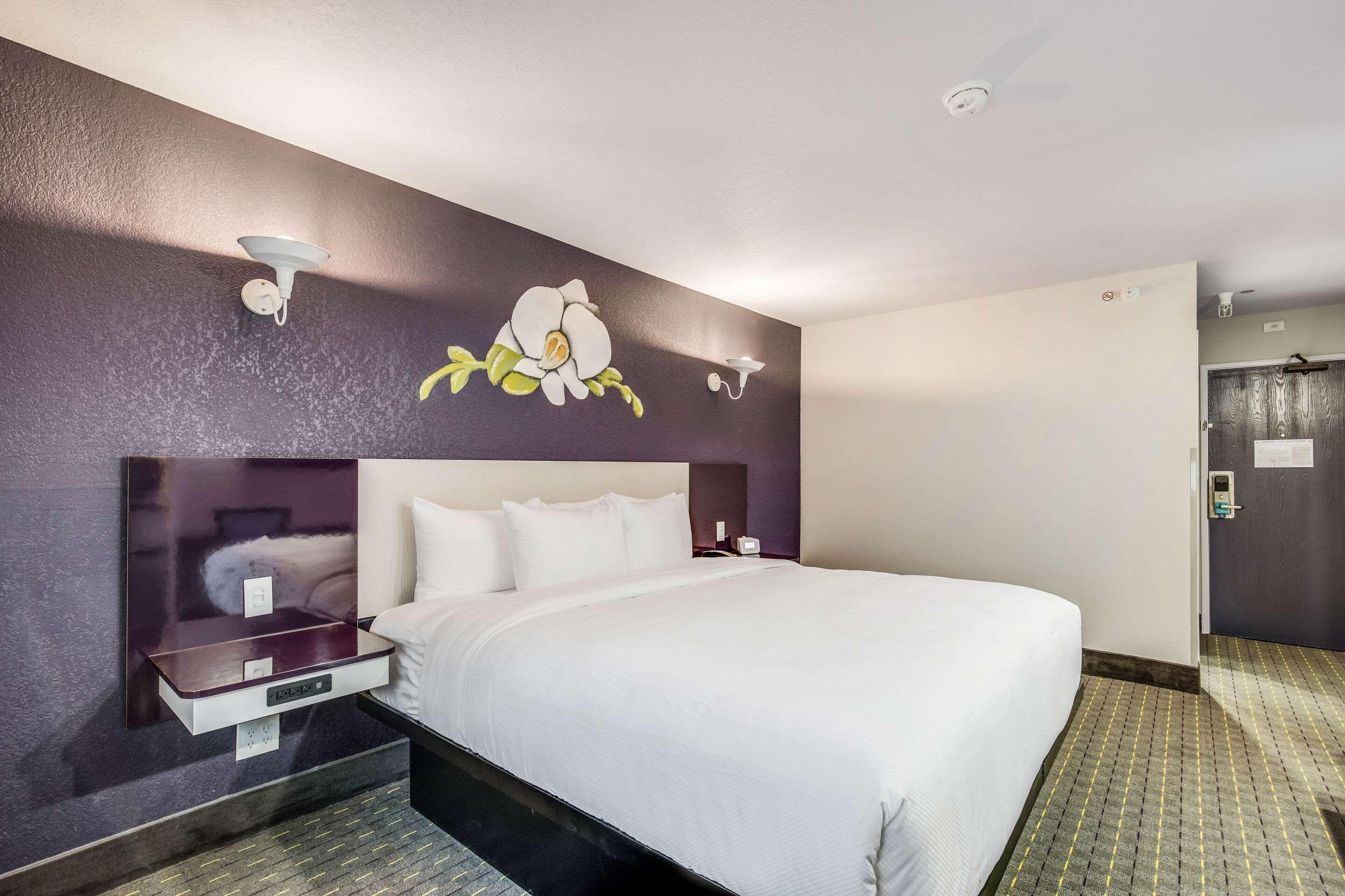 Double Accessible King Size Bed