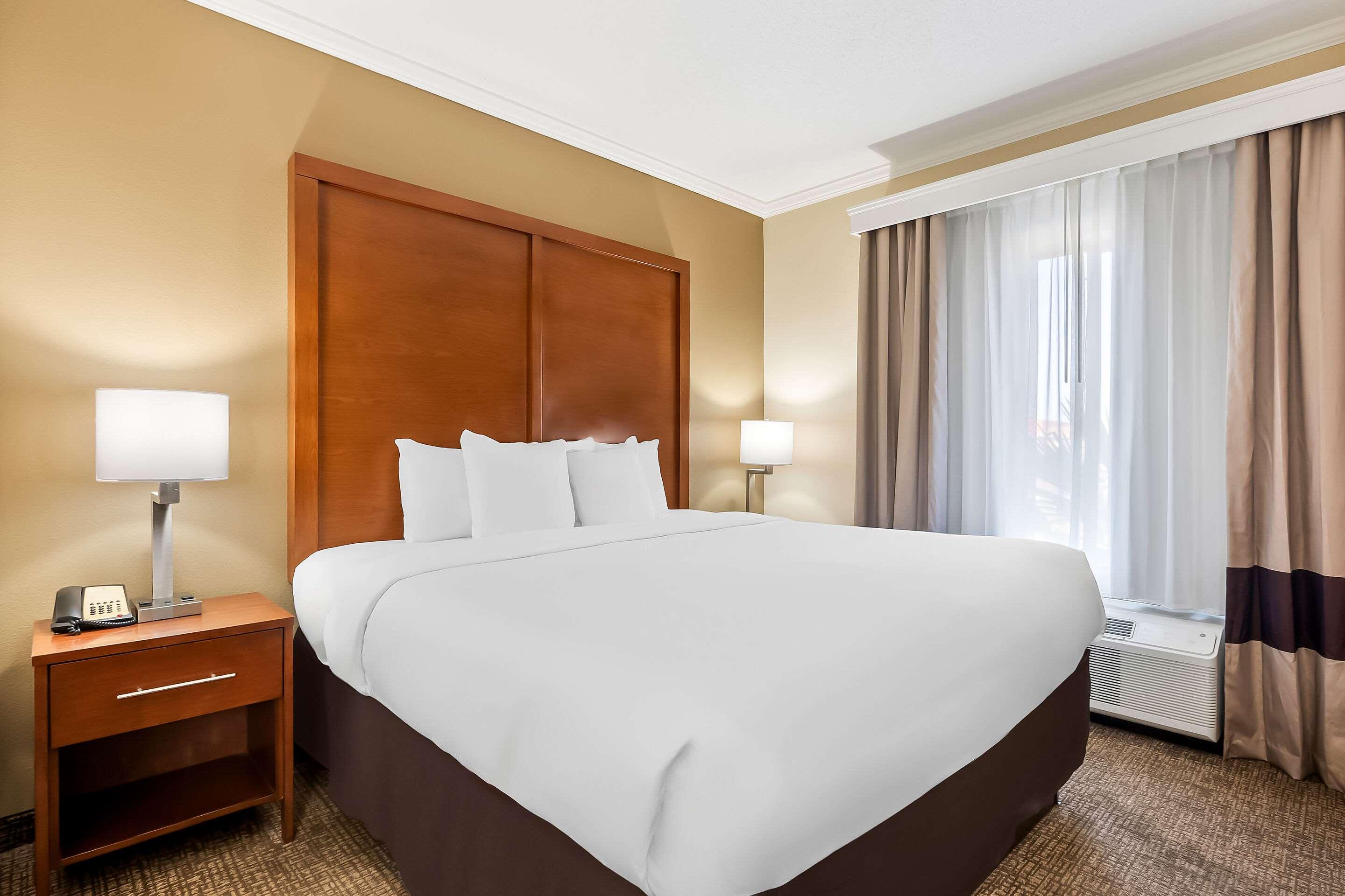 Suite King Bed Non Smoking