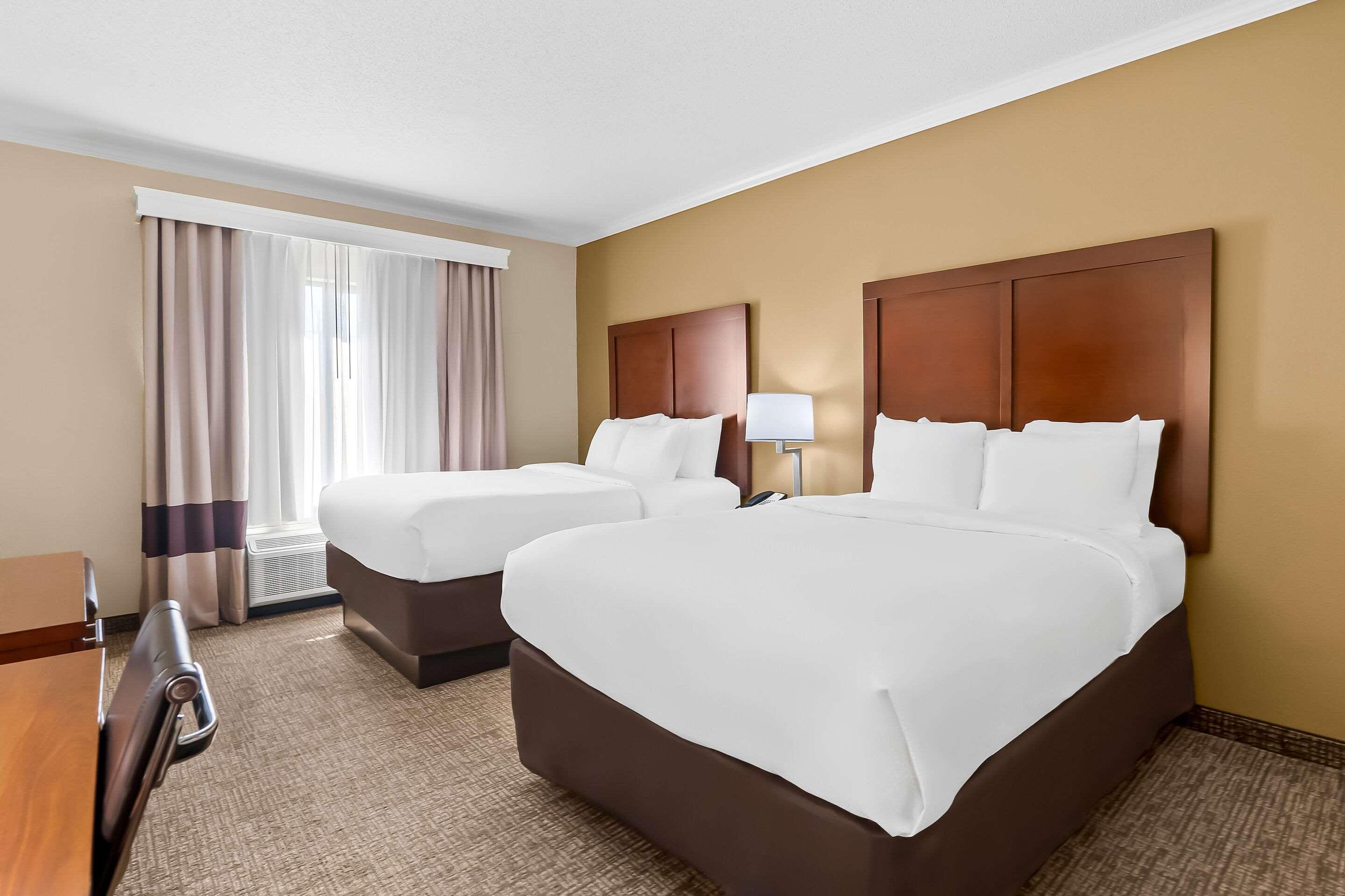 Suite Two Queen Beds