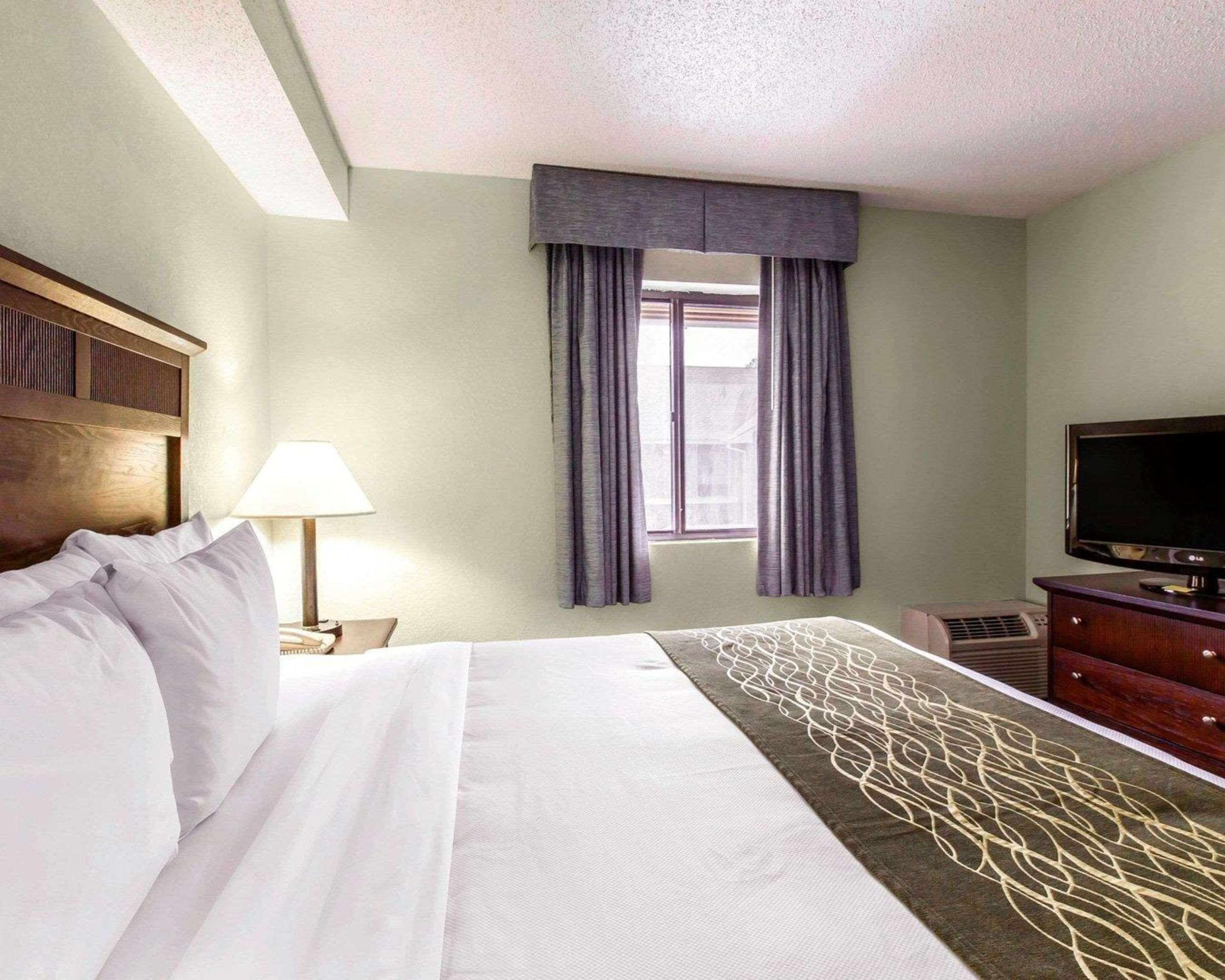 Suite King Bed Non Smoking