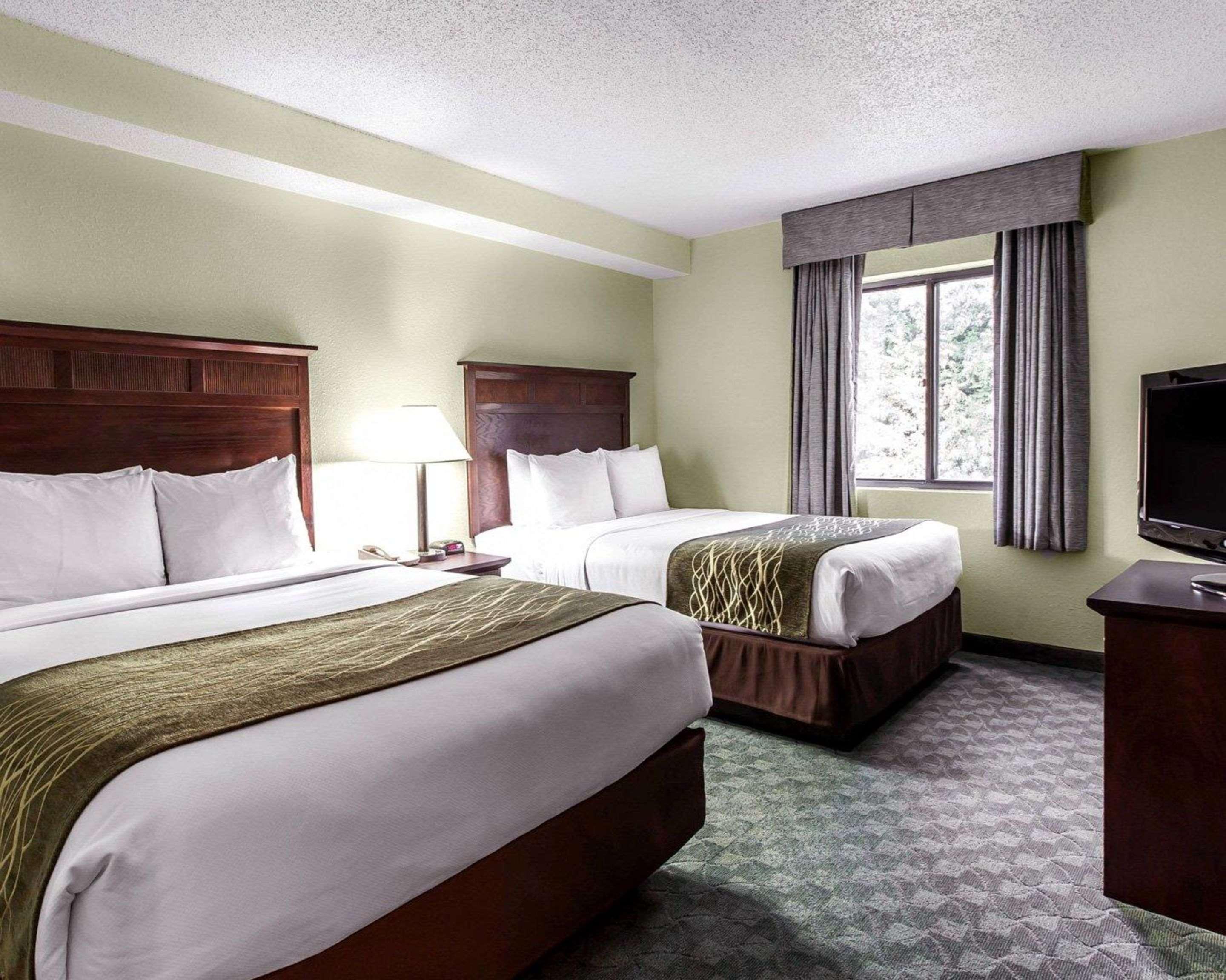 Suite Two Queen Beds