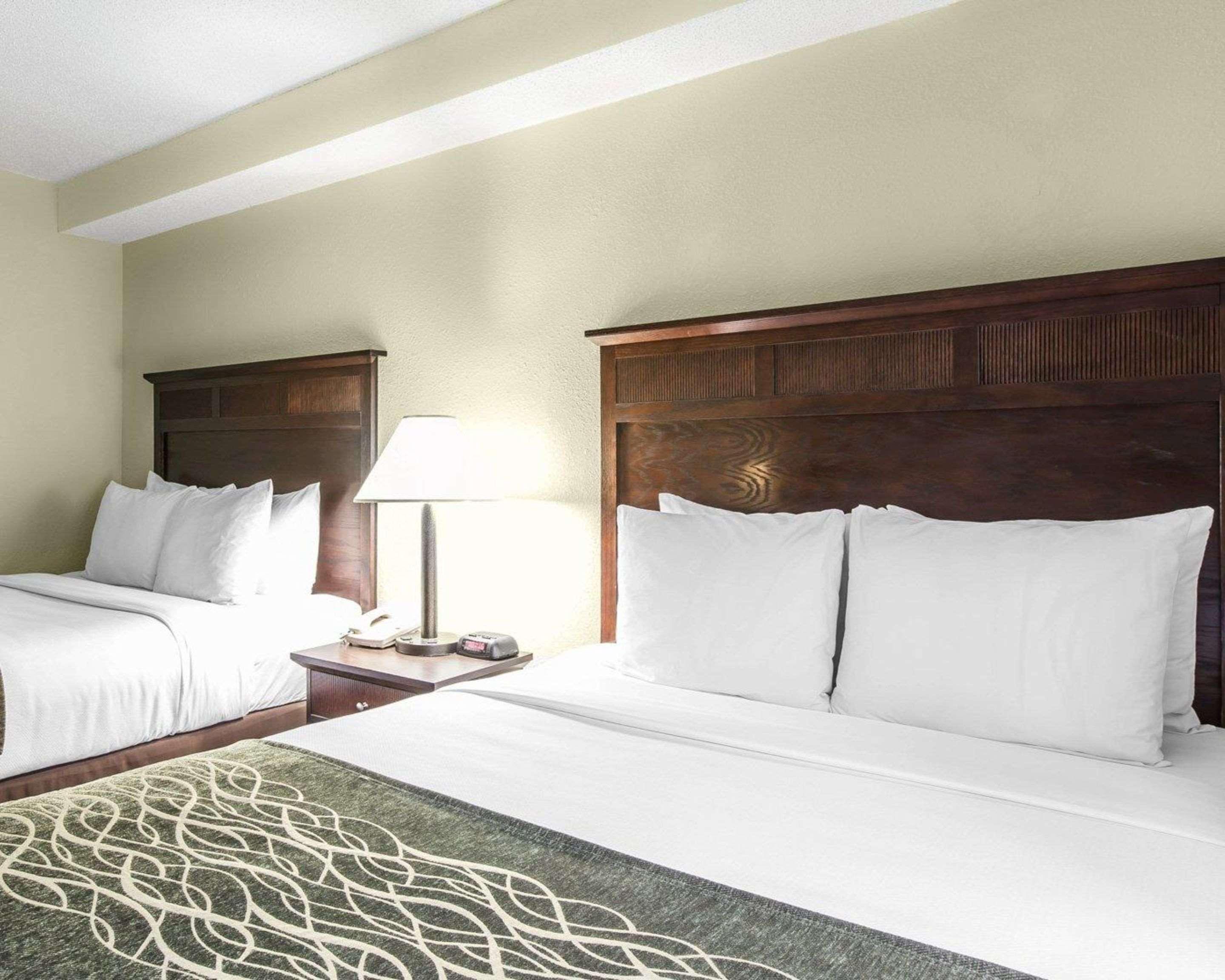 Suite Two Queen Beds