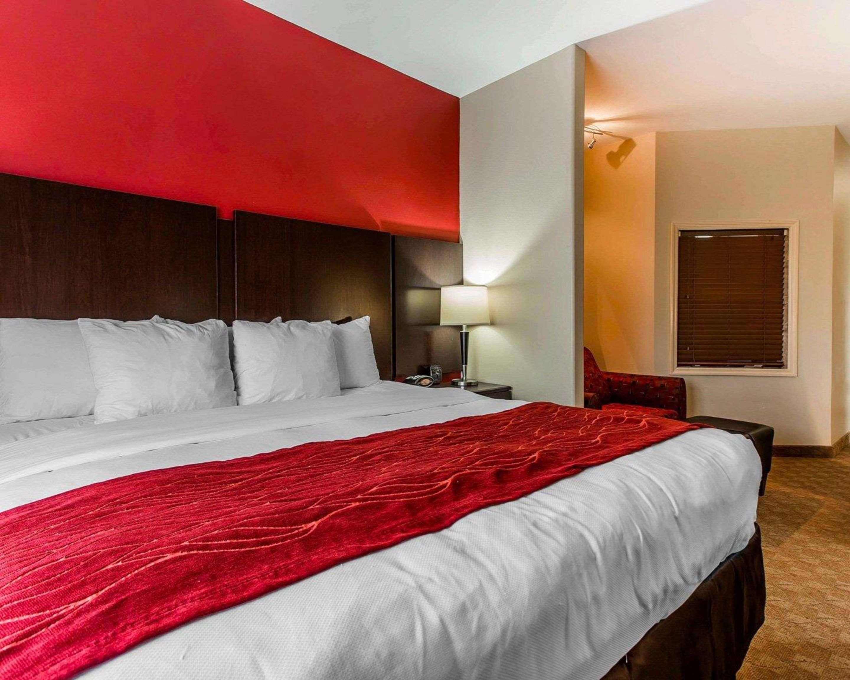 Suite King Bed Non Smoking