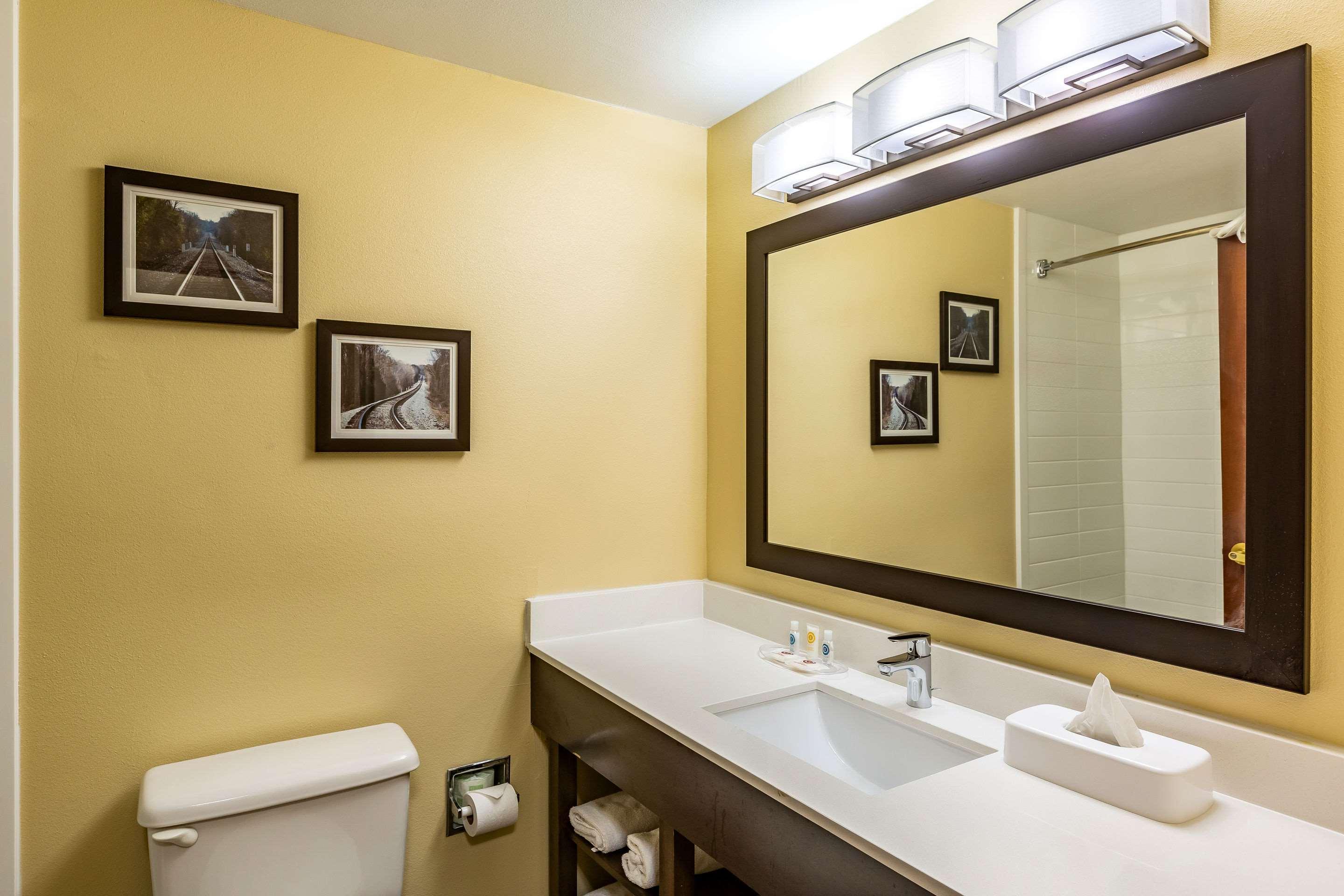 Suite King Bed Non Smoking