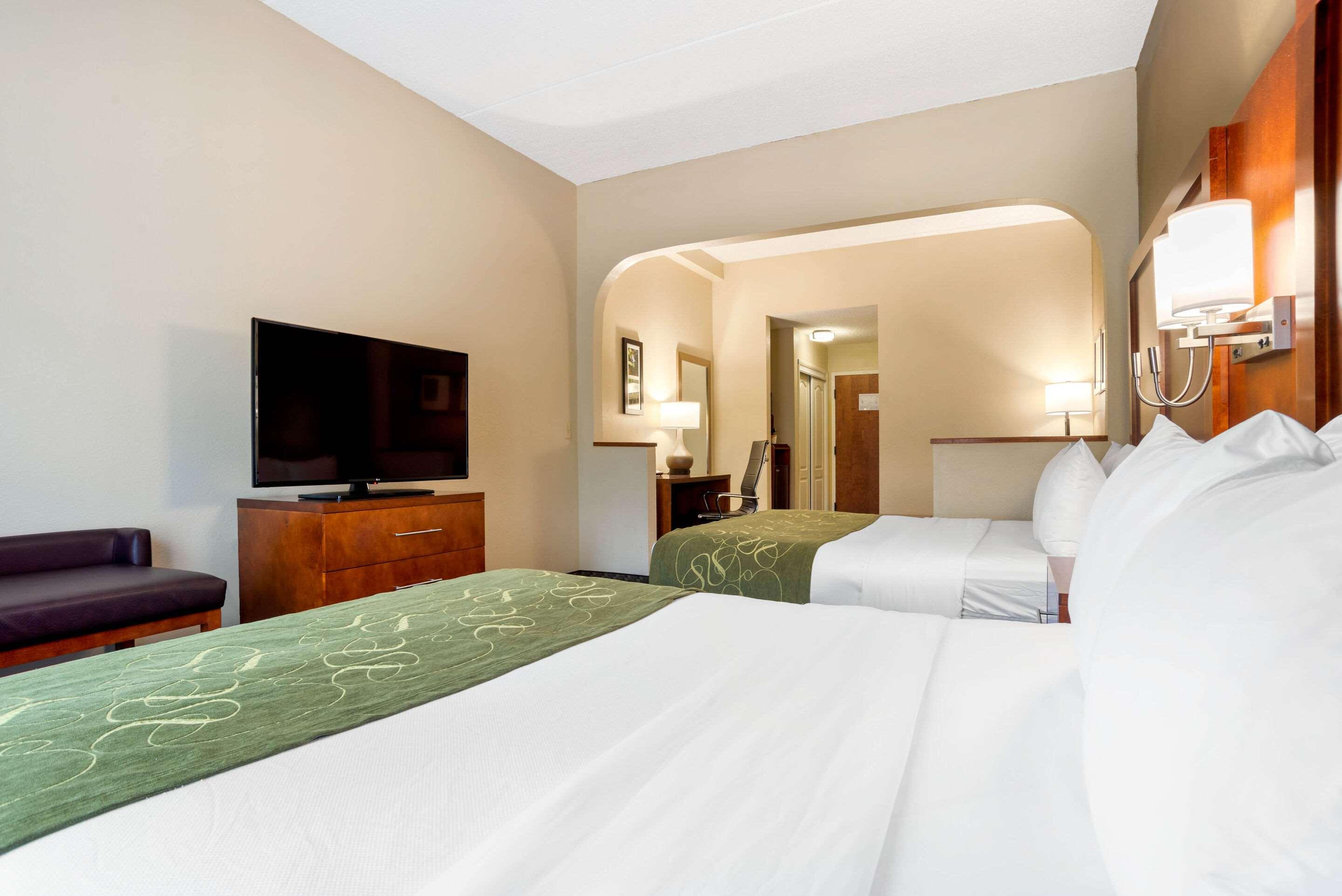 Suite Two Queen Beds