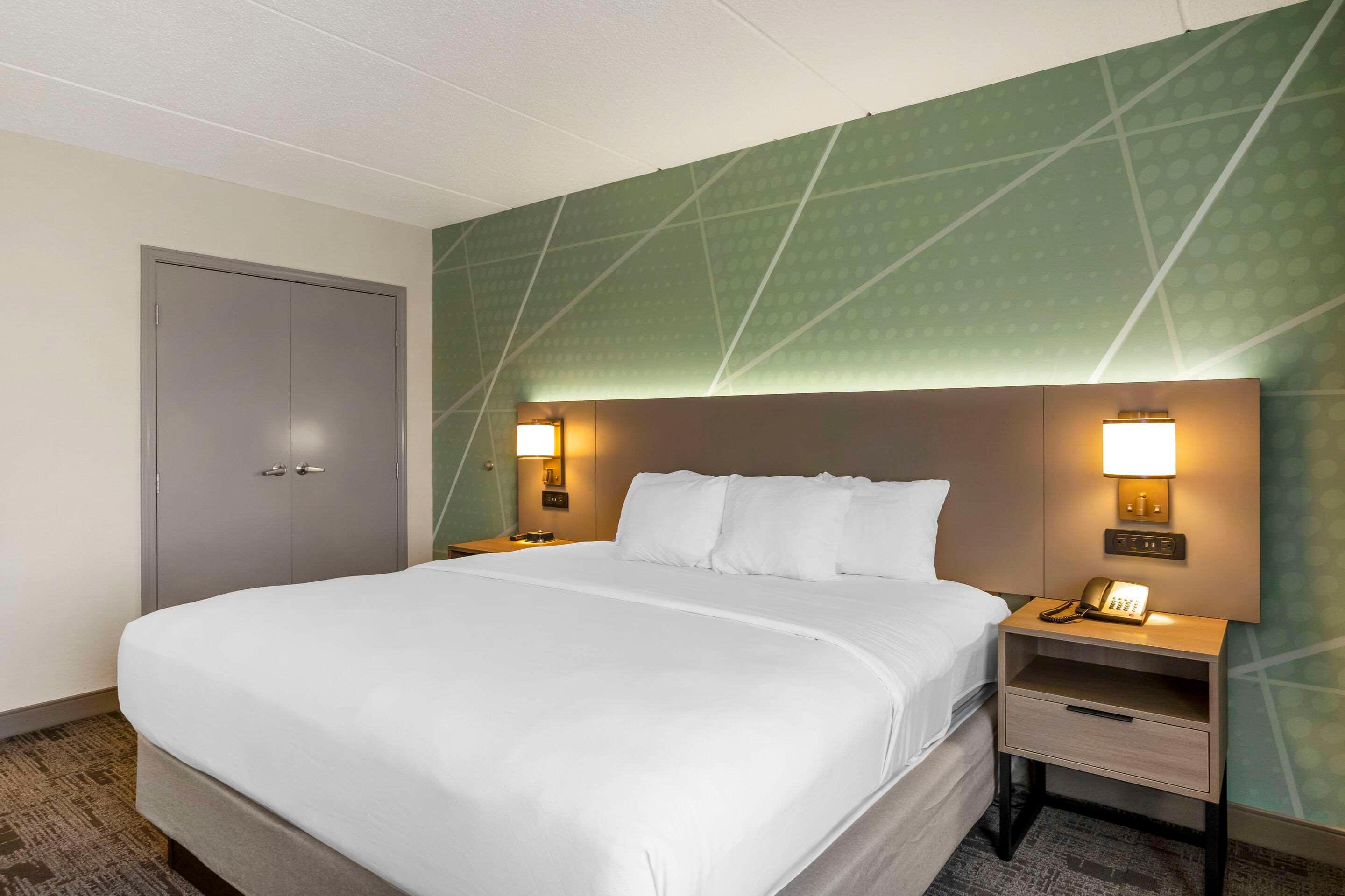 Suite King Bed Non Smoking