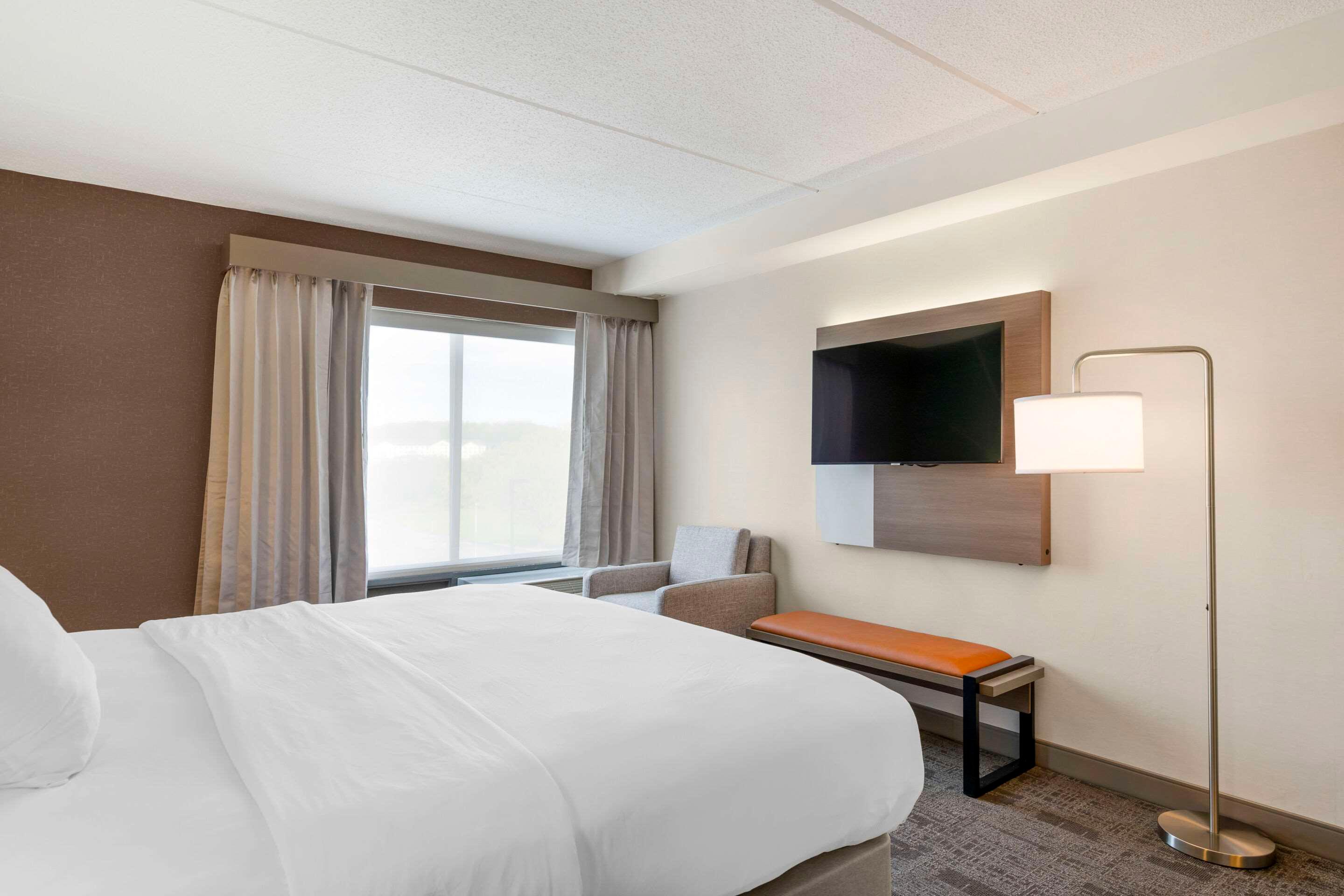 Suite King Bed Non Smoking