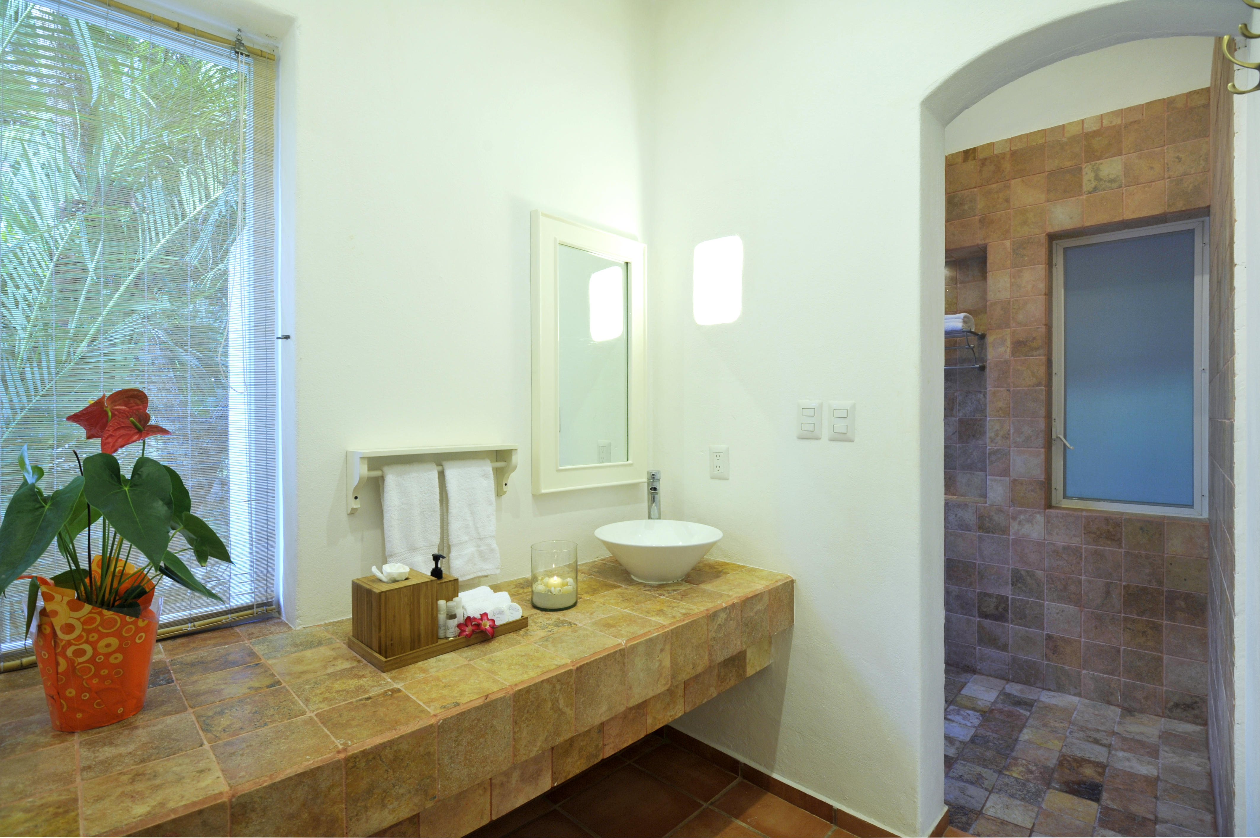 Suite Superior with Terrace