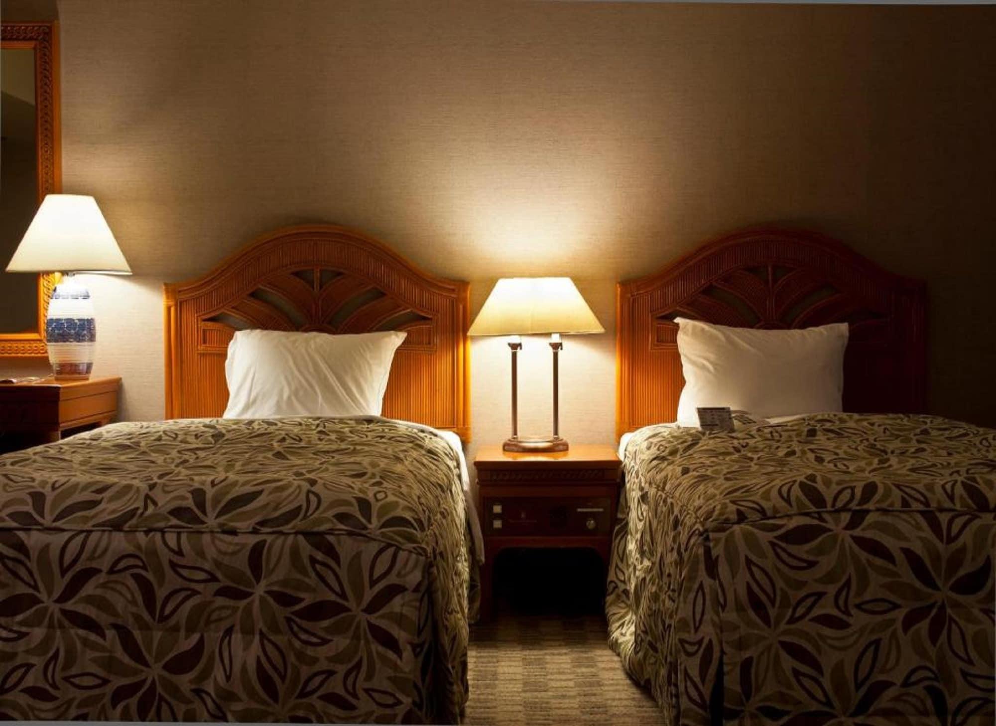 Twin Deluxe Mountain View