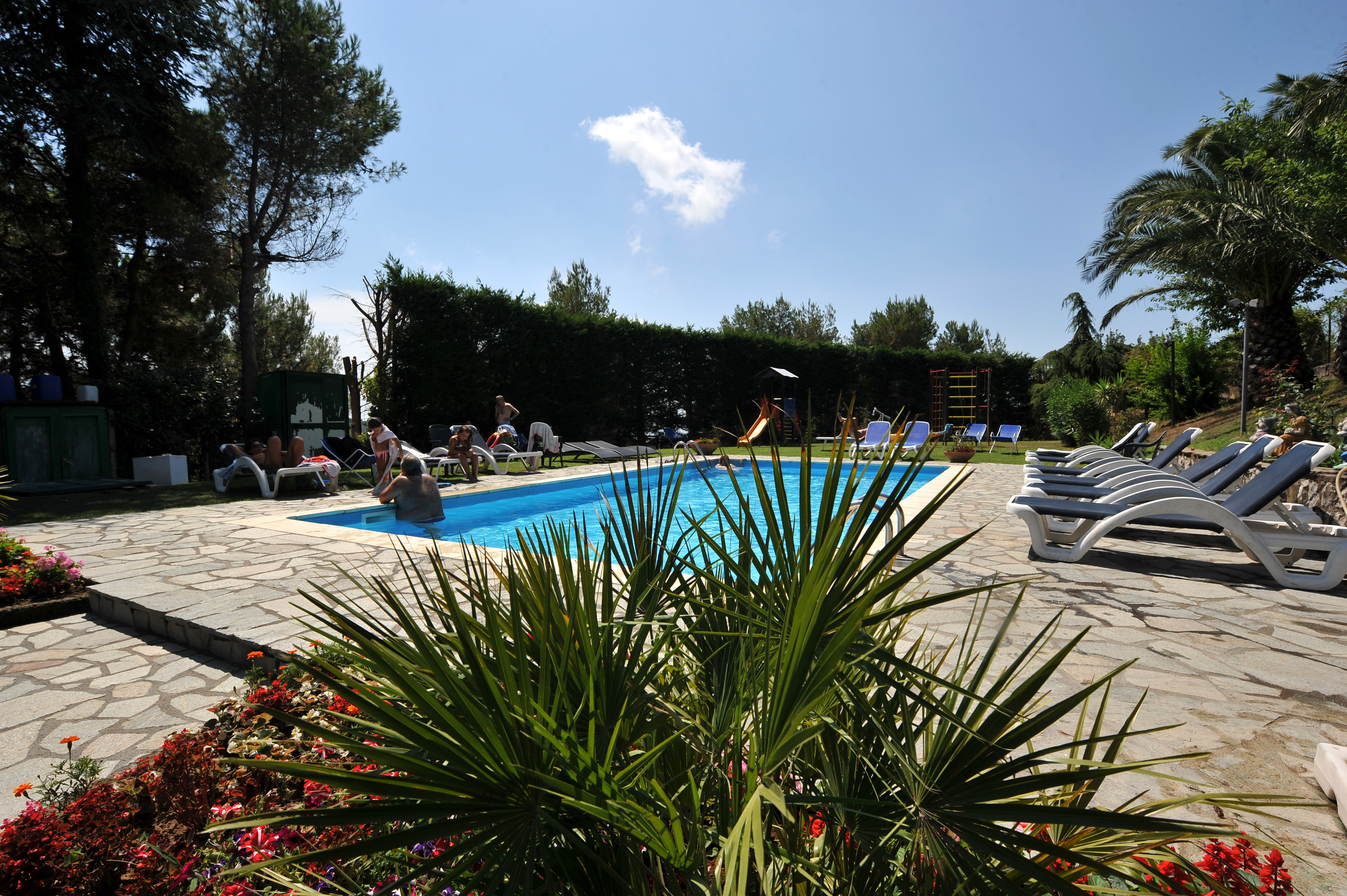 Family Room Standard