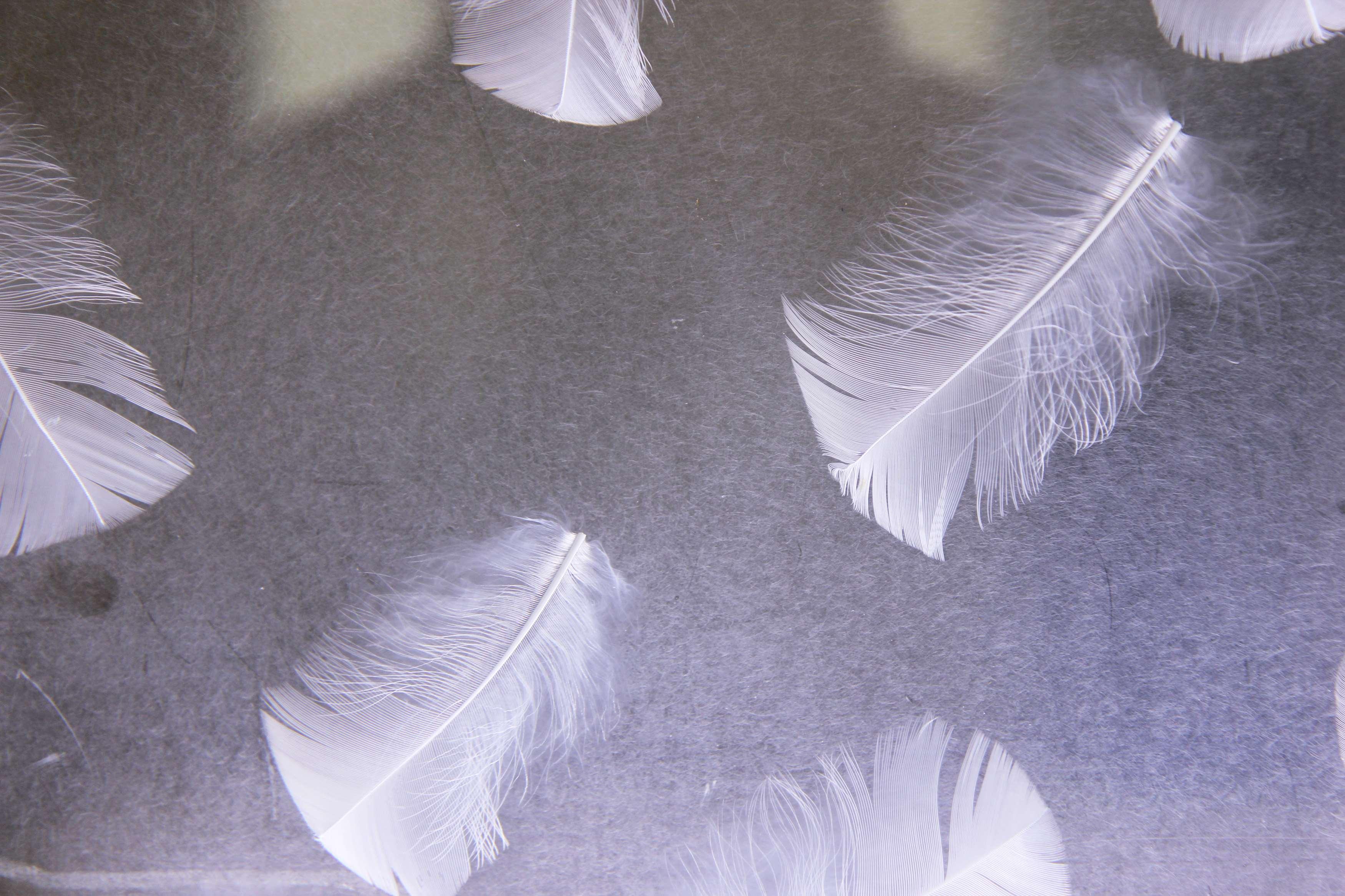 Double Queen Bed Non Smoking