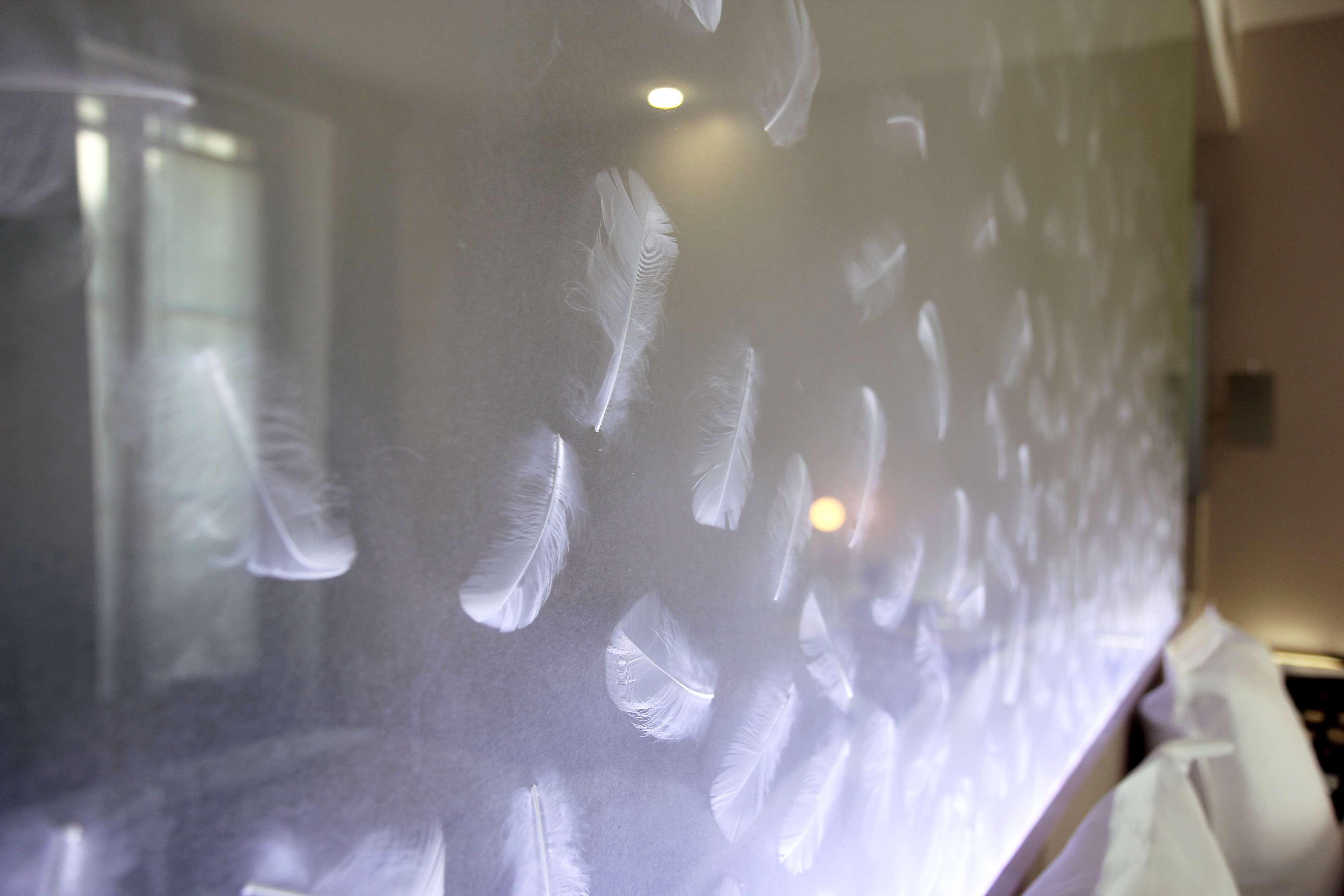 Double Queen Bed Non Smoking