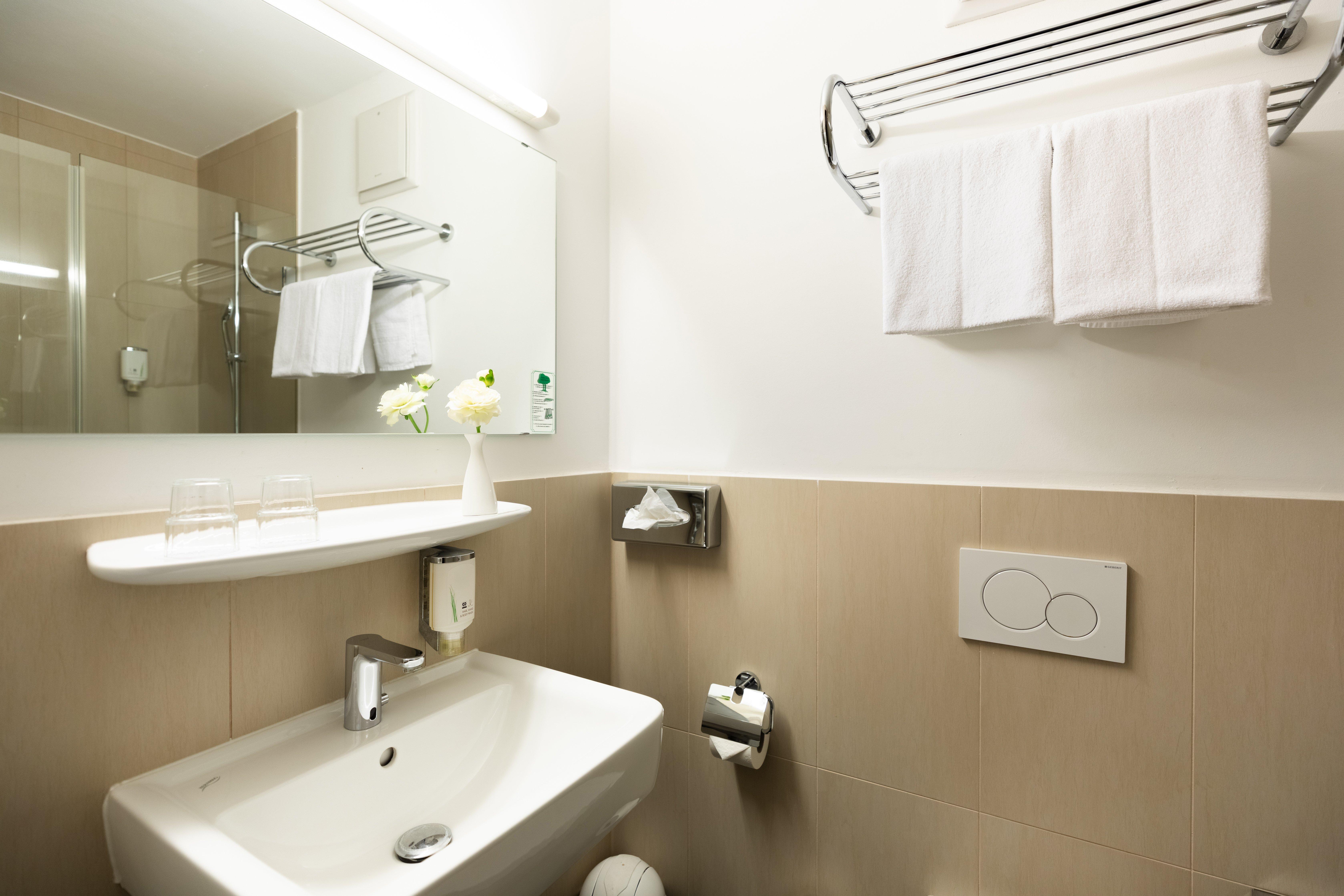 Double or Twin Standard