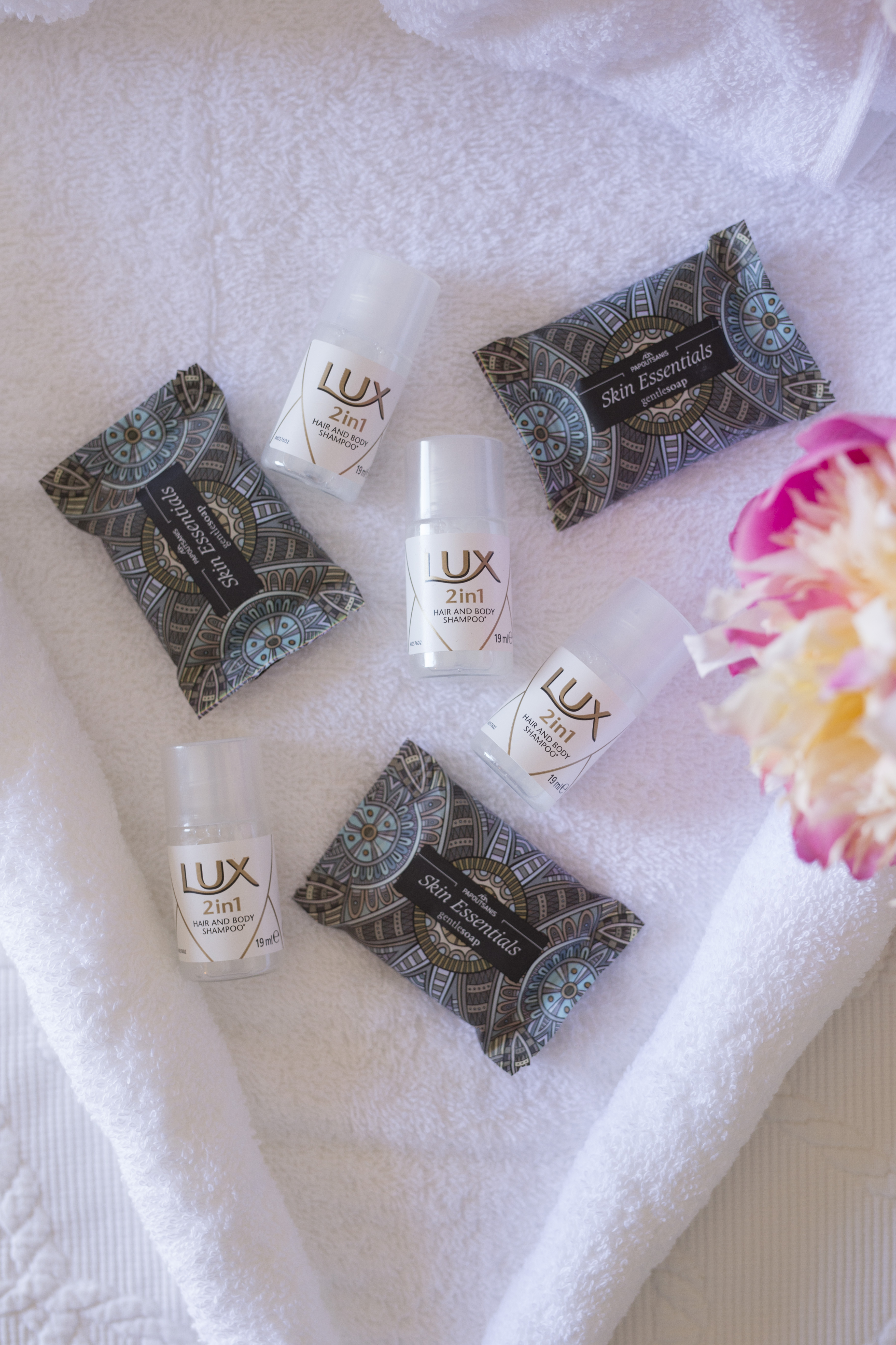 Apartment Garden View